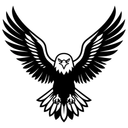 Flying Bald Svg, Eagle Design Files Svg, png, dxf, eps, | vector graphic design cut print dye sub cnc laser files commercial use
