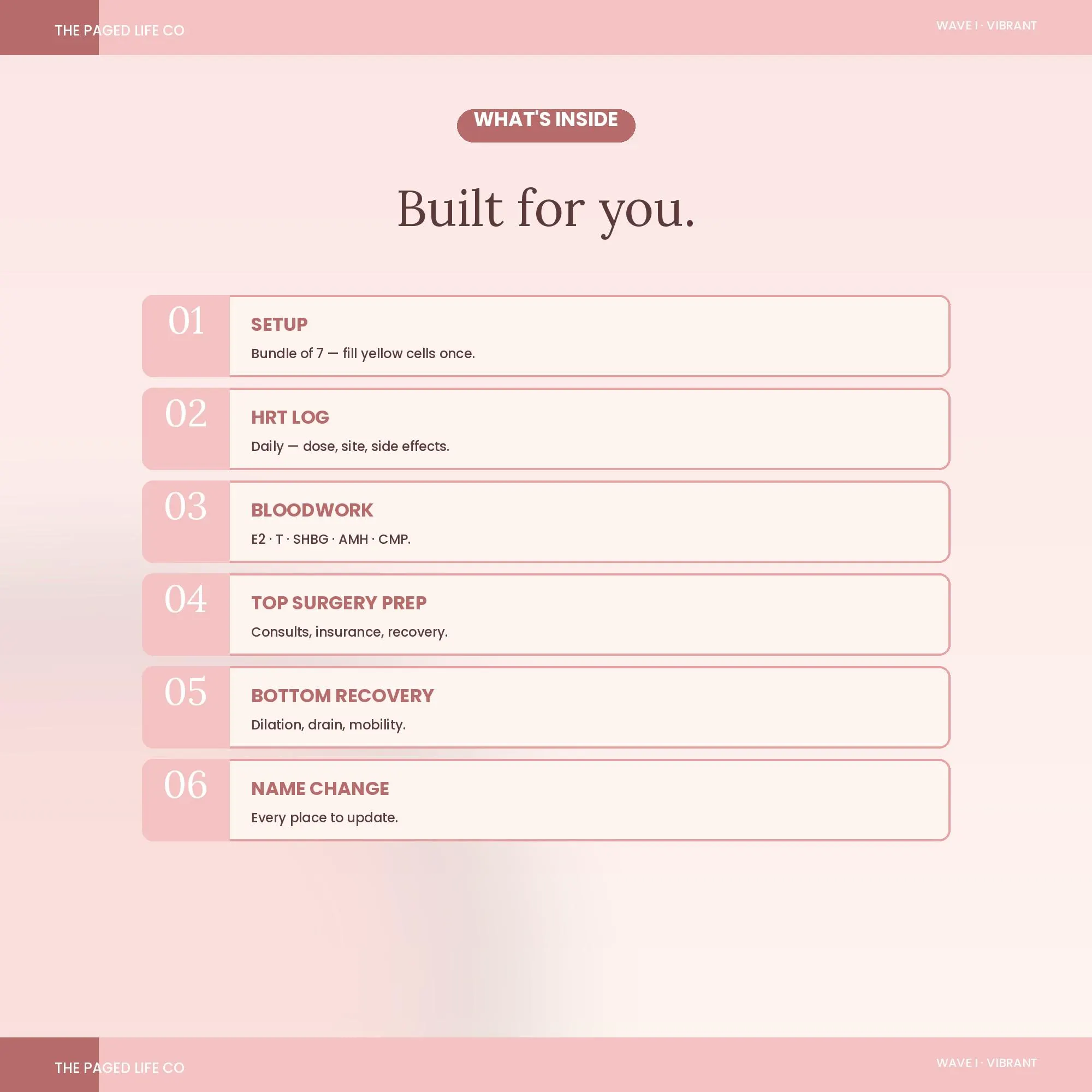 Gender Affirming Care Mega Bundle Spreadsheet | HRT Top Bottom Name Insurance | 5 Aesthetic Themes | Instant Digital Download - image 3