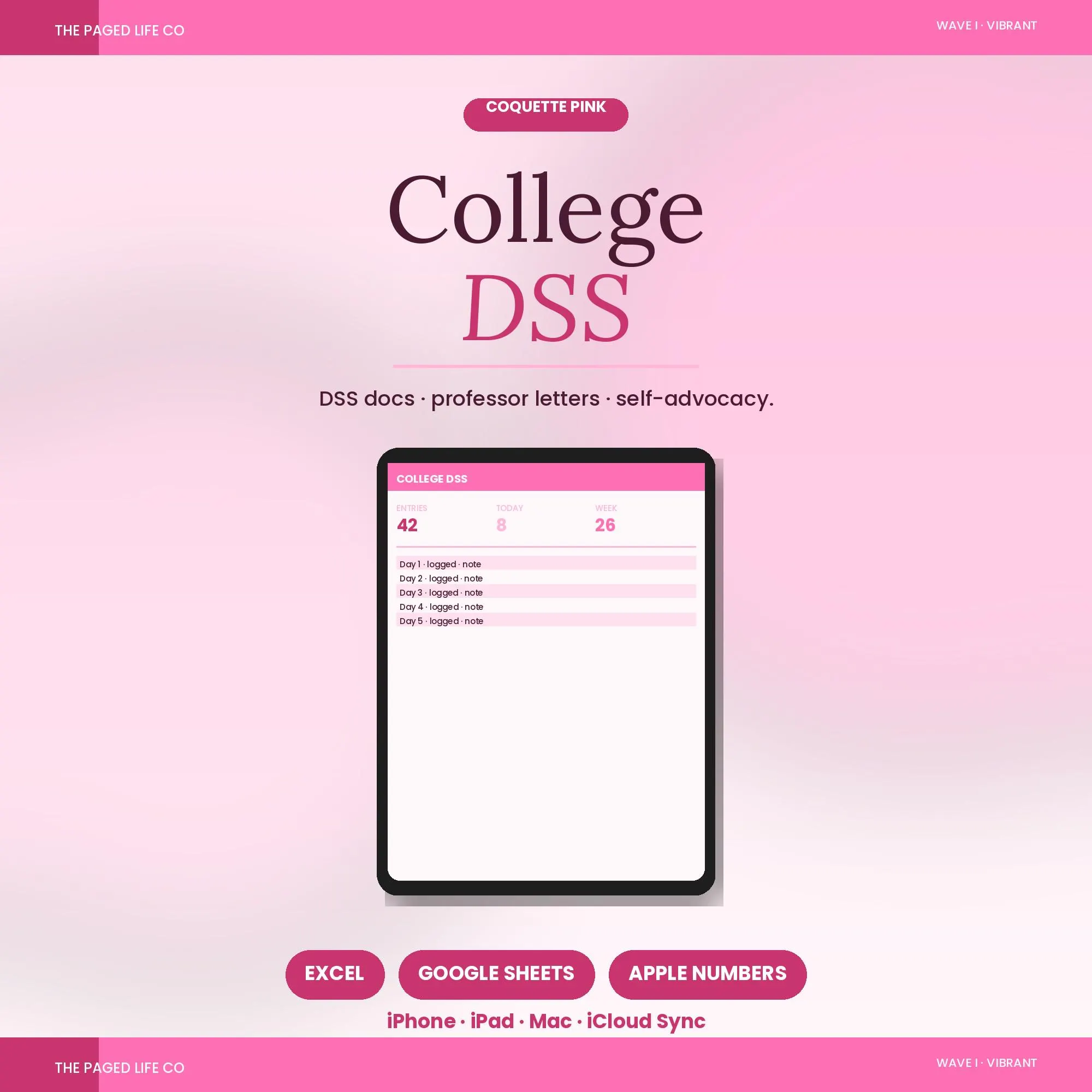 College Accommodations Transition Spreadsheet | DSS Documentation Professors Self Advocacy | 5 Aesthetic Themes | Instant Digital Download
