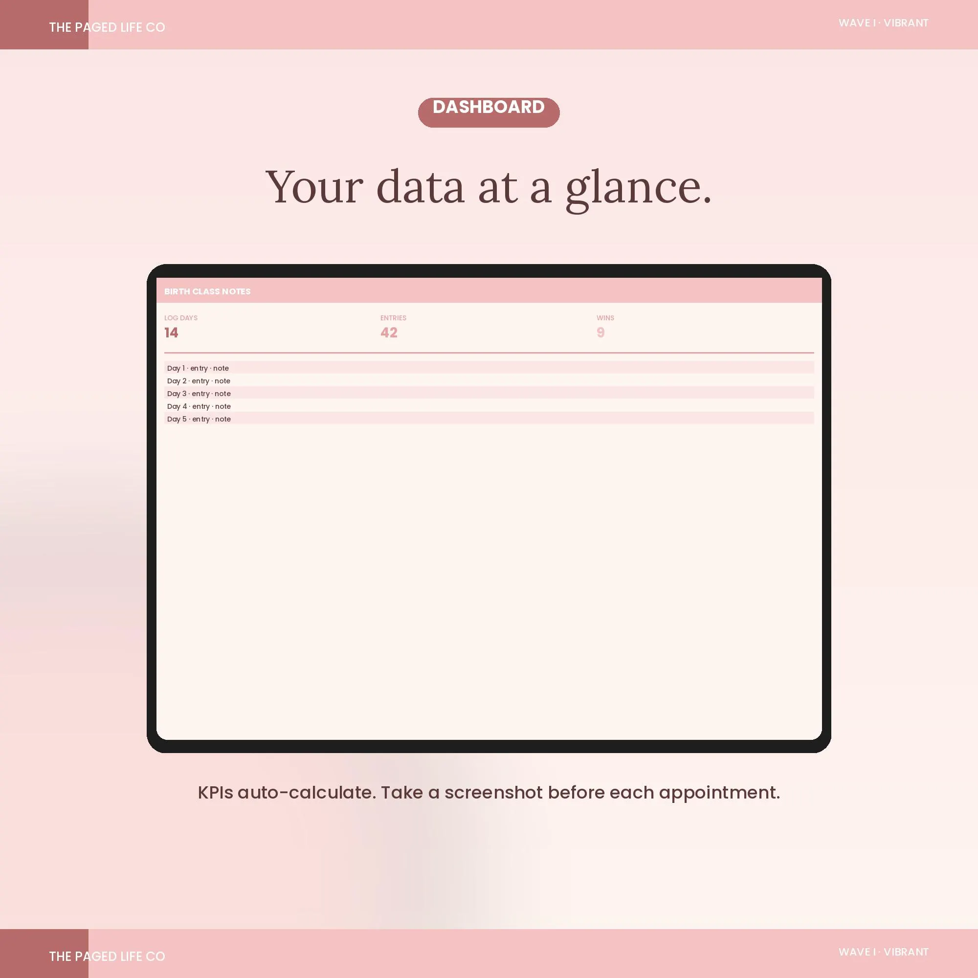 Antenatal Birth Class Notes Spreadsheet | Topics Birth Plan Hospital Bag | 5 Aesthetic Themes | Instant Digital Download - image 5