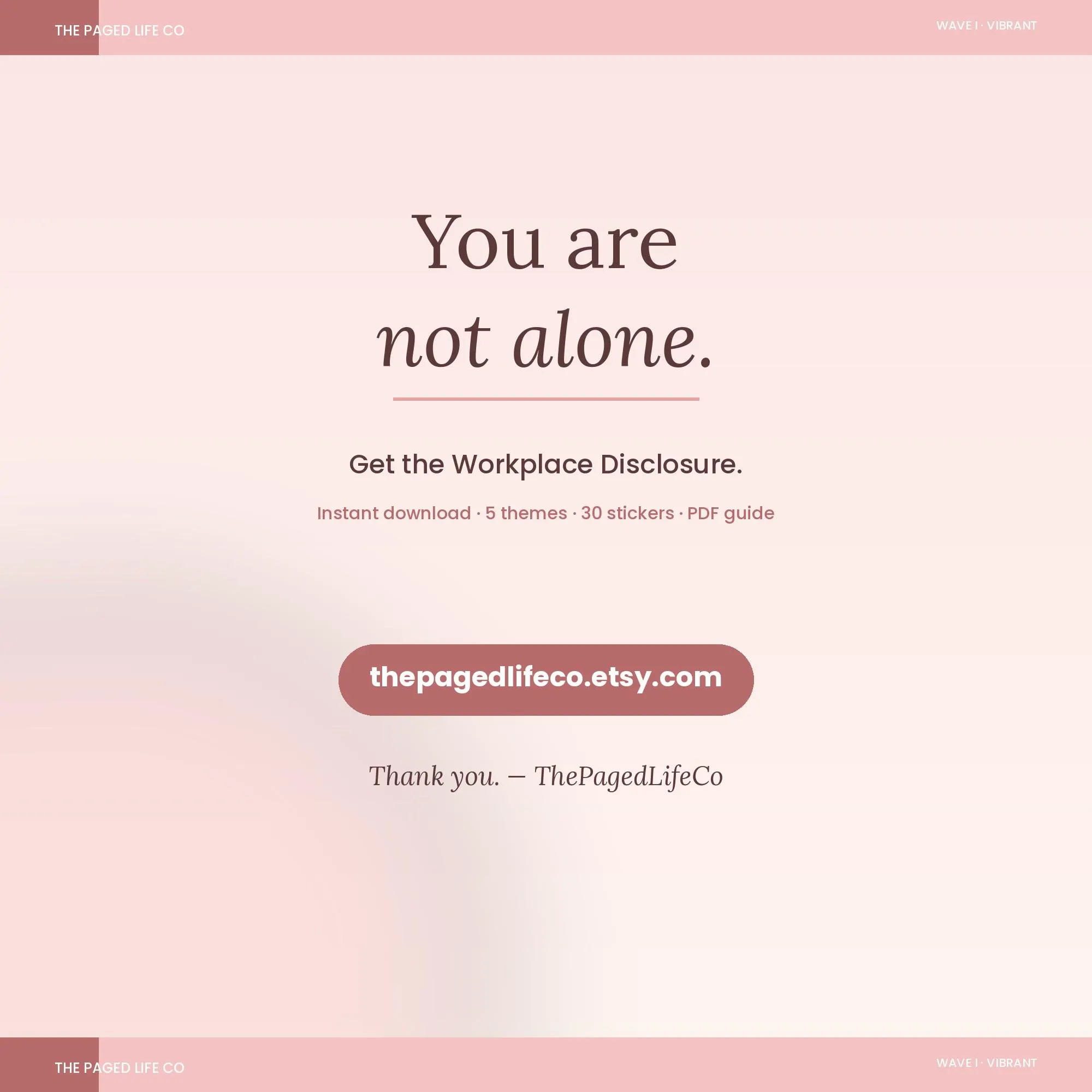 Workplace Disability Disclosure Spreadsheet | ADA Letter Manager HR Accommodations | 5 Aesthetic Themes | Instant Digital Download - image 4