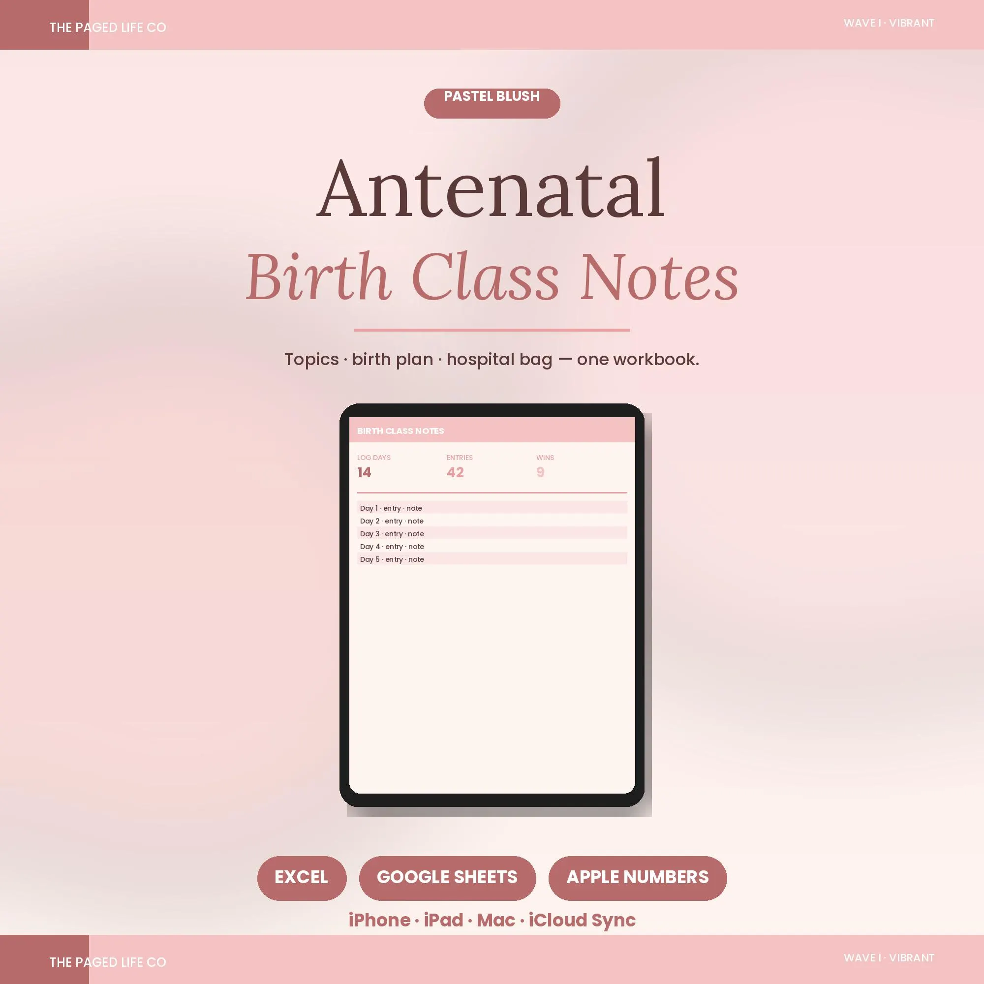 Antenatal Birth Class Notes Spreadsheet | Topics Birth Plan Hospital Bag | 5 Aesthetic Themes | Instant Digital Download