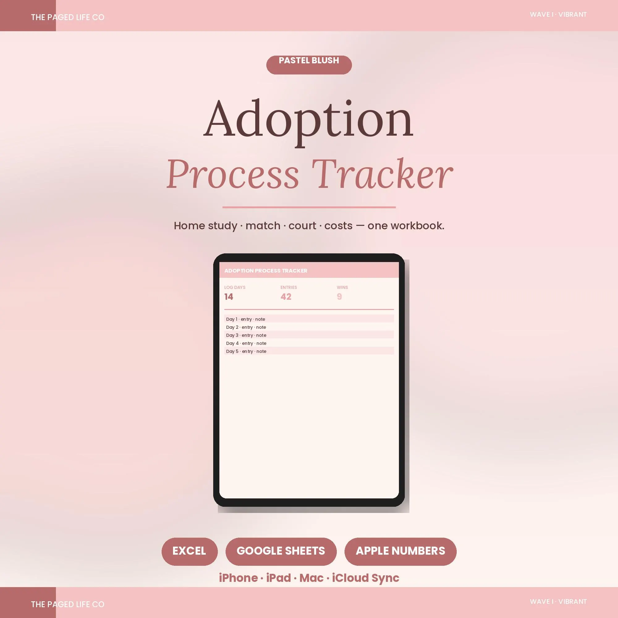 Adoption Process Tracker Spreadsheet | Home Study Match Court Finalization | 5 Aesthetic Themes | Instant Digital Download