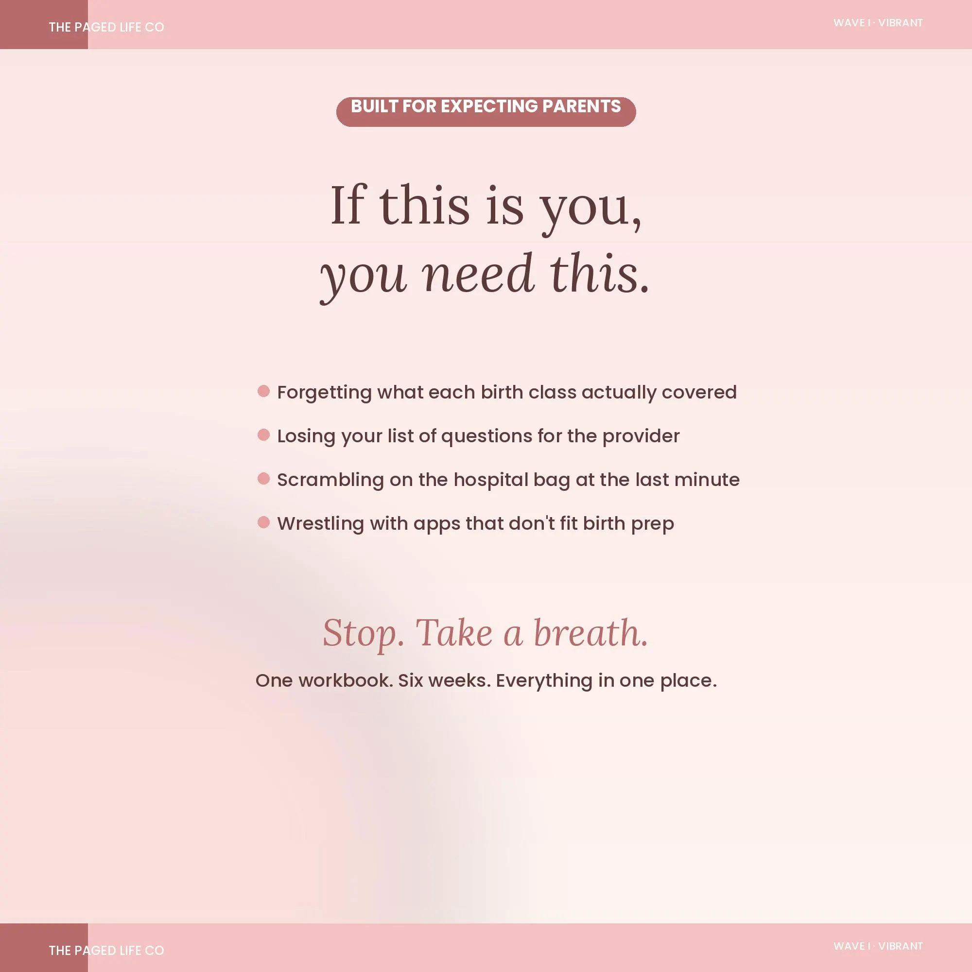 Antenatal Birth Class Notes Spreadsheet | Topics Birth Plan Hospital Bag | 5 Aesthetic Themes | Instant Digital Download - image 3