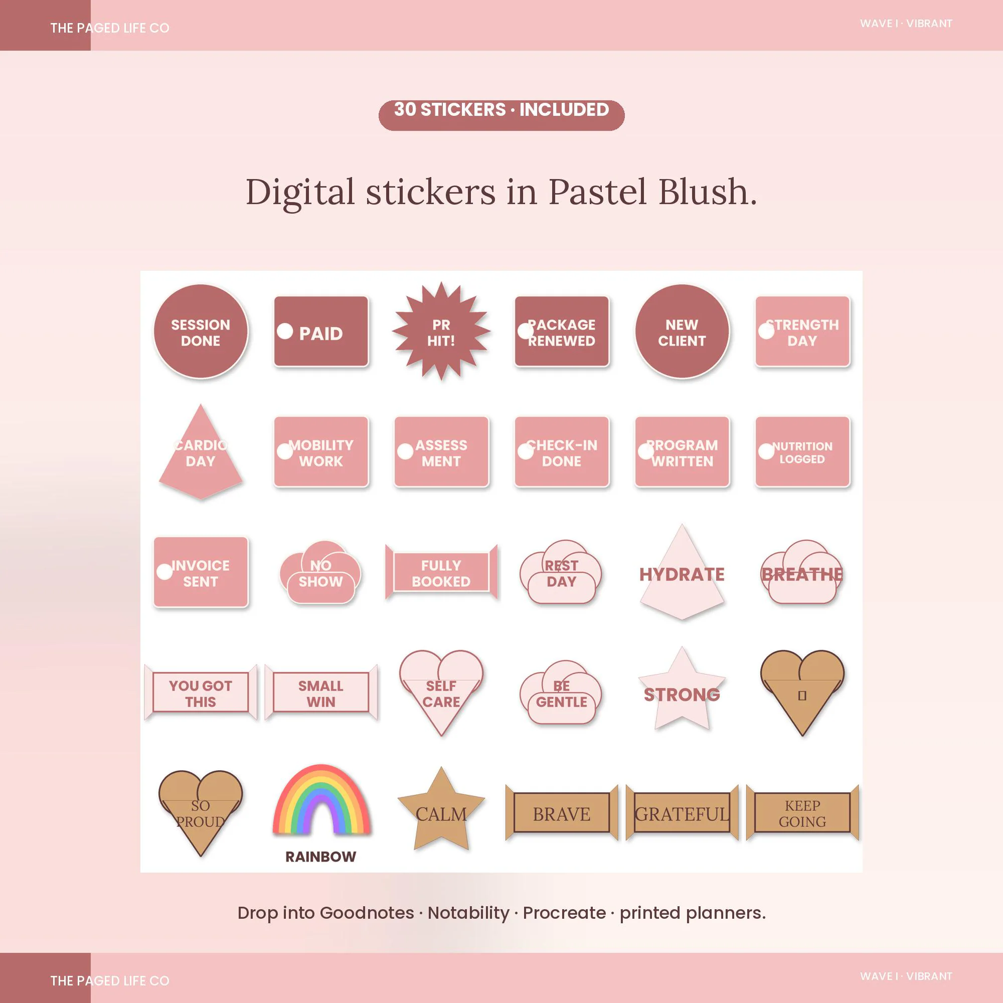 Personal Training Client Tracker Spreadsheet | Sessions PRs Programming Billing | 5 Aesthetic Themes | Instant Digital Download - image 3