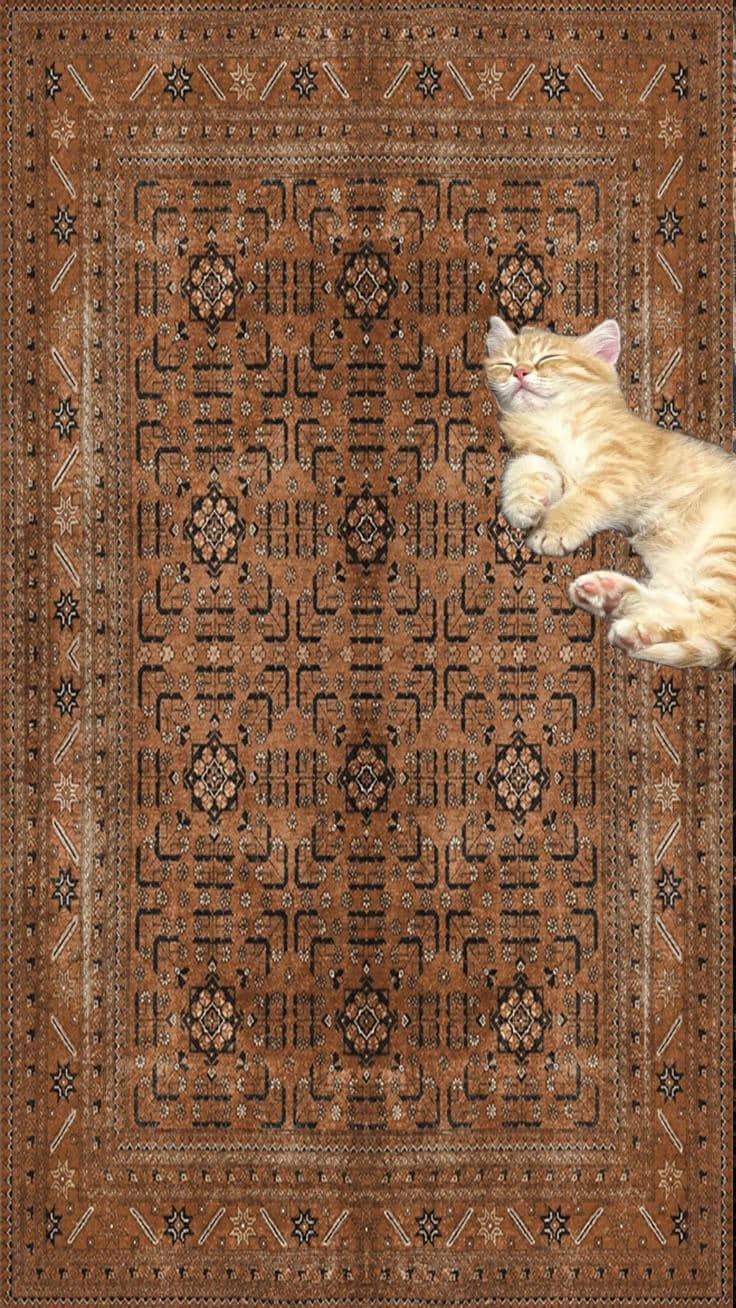 Vintage Distressed Area Rug Terracotta Tribal Geometric Carpet, Machine Washable Non-Slip Rustic Floor Mat, Boho Living Room Home Decor - image 2