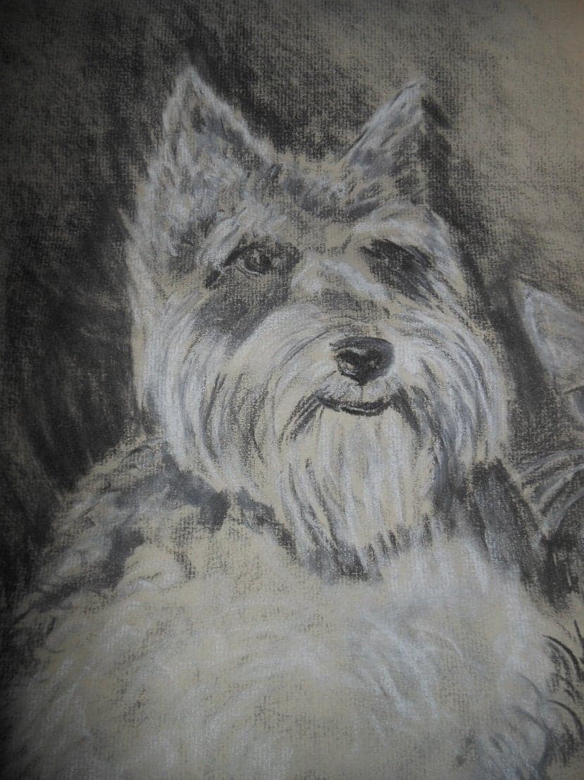Vintage scotty westy dog and cat pastel - image 4