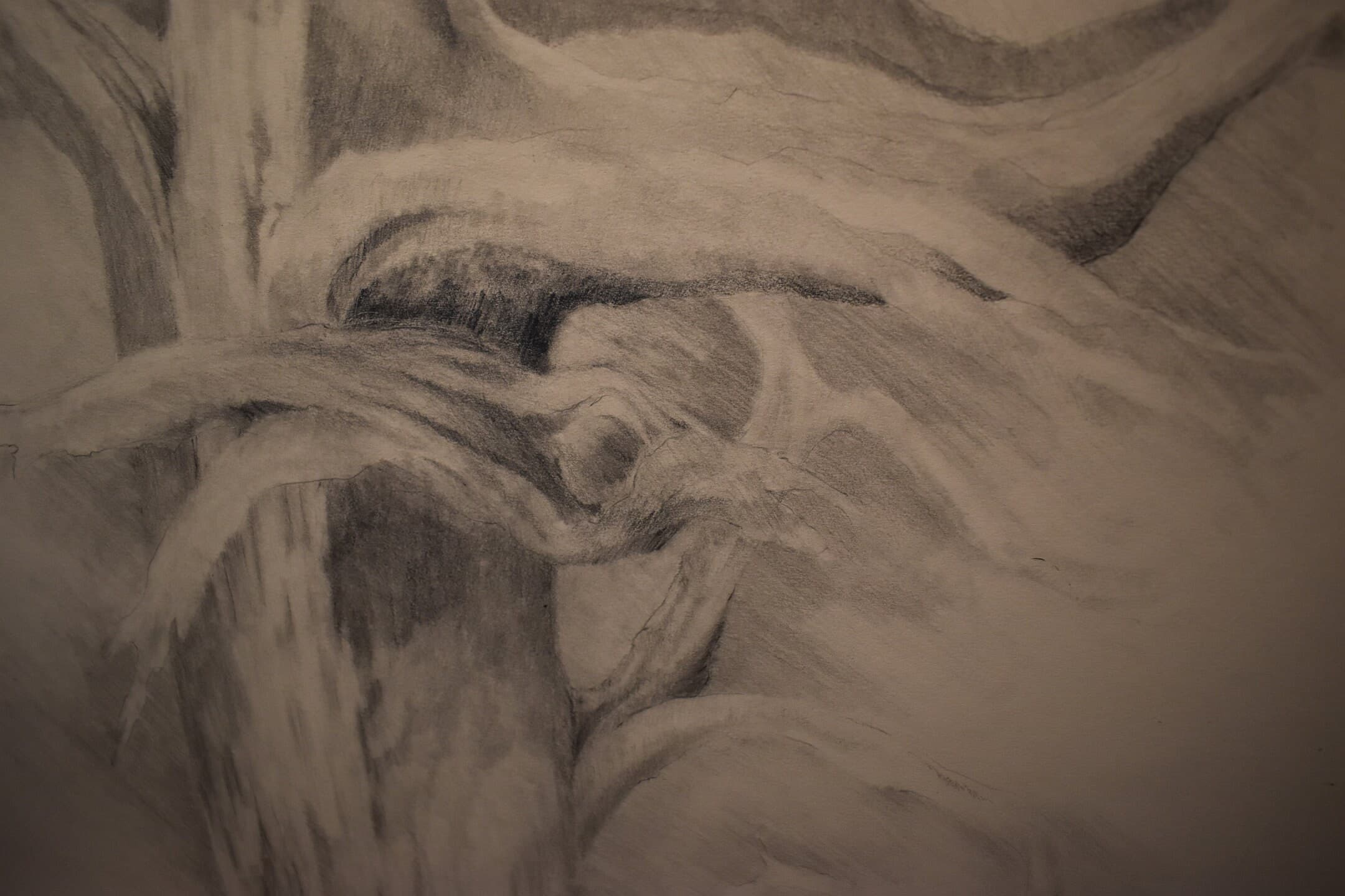 vintage   abstract   drawing of tree trunk   artist  signed - image 4