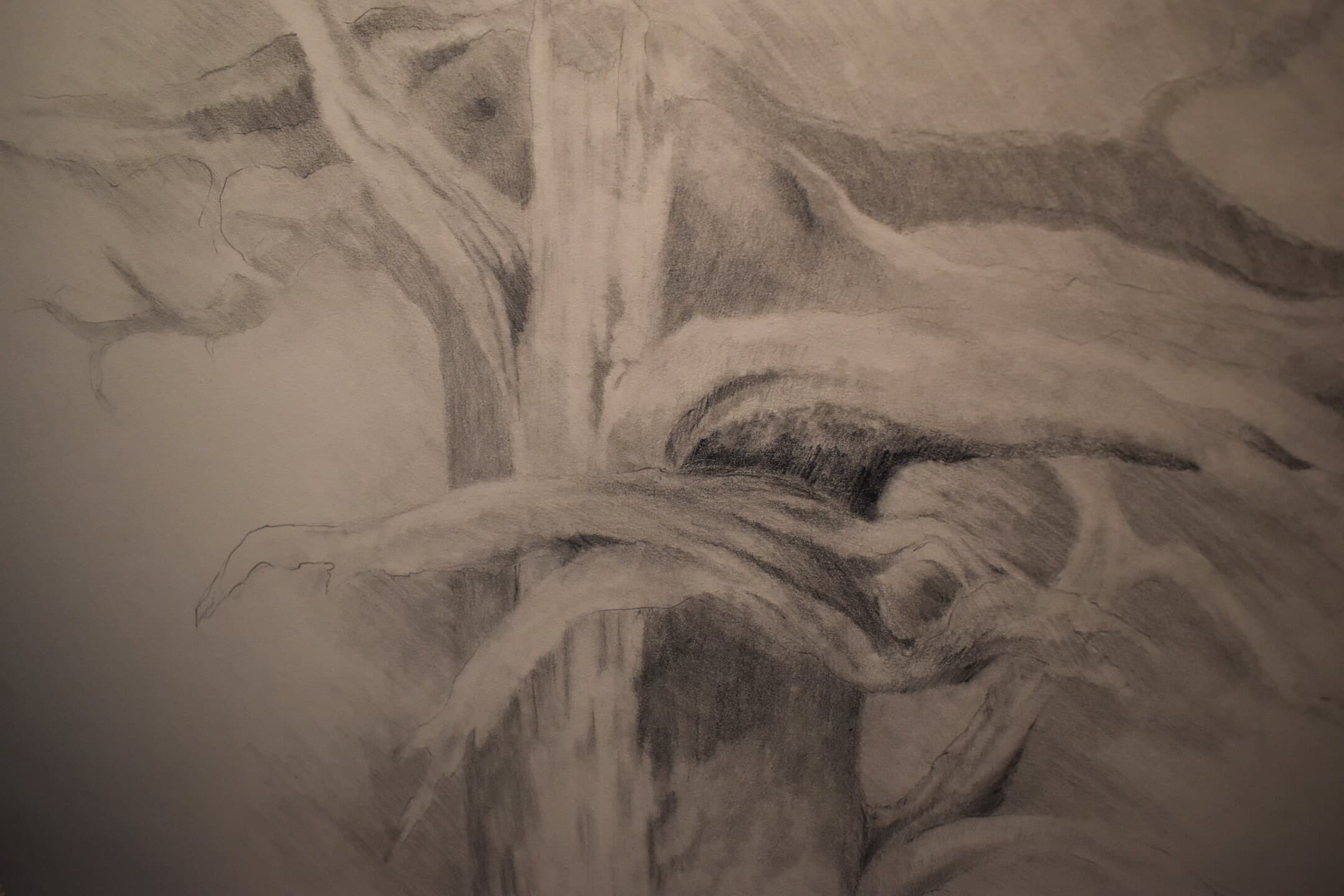 vintage   abstract   drawing of tree trunk   artist  signed - image 3