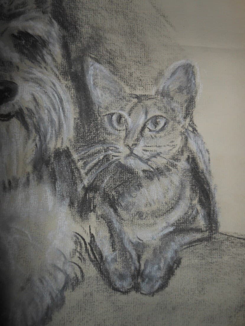 Vintage scotty westy dog and cat pastel - image 3