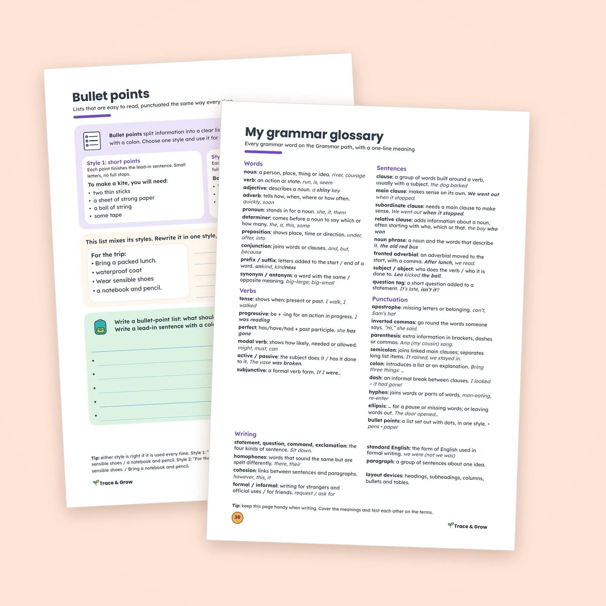 Grammar Worksheets for 5th and 6th Grade: inside pages