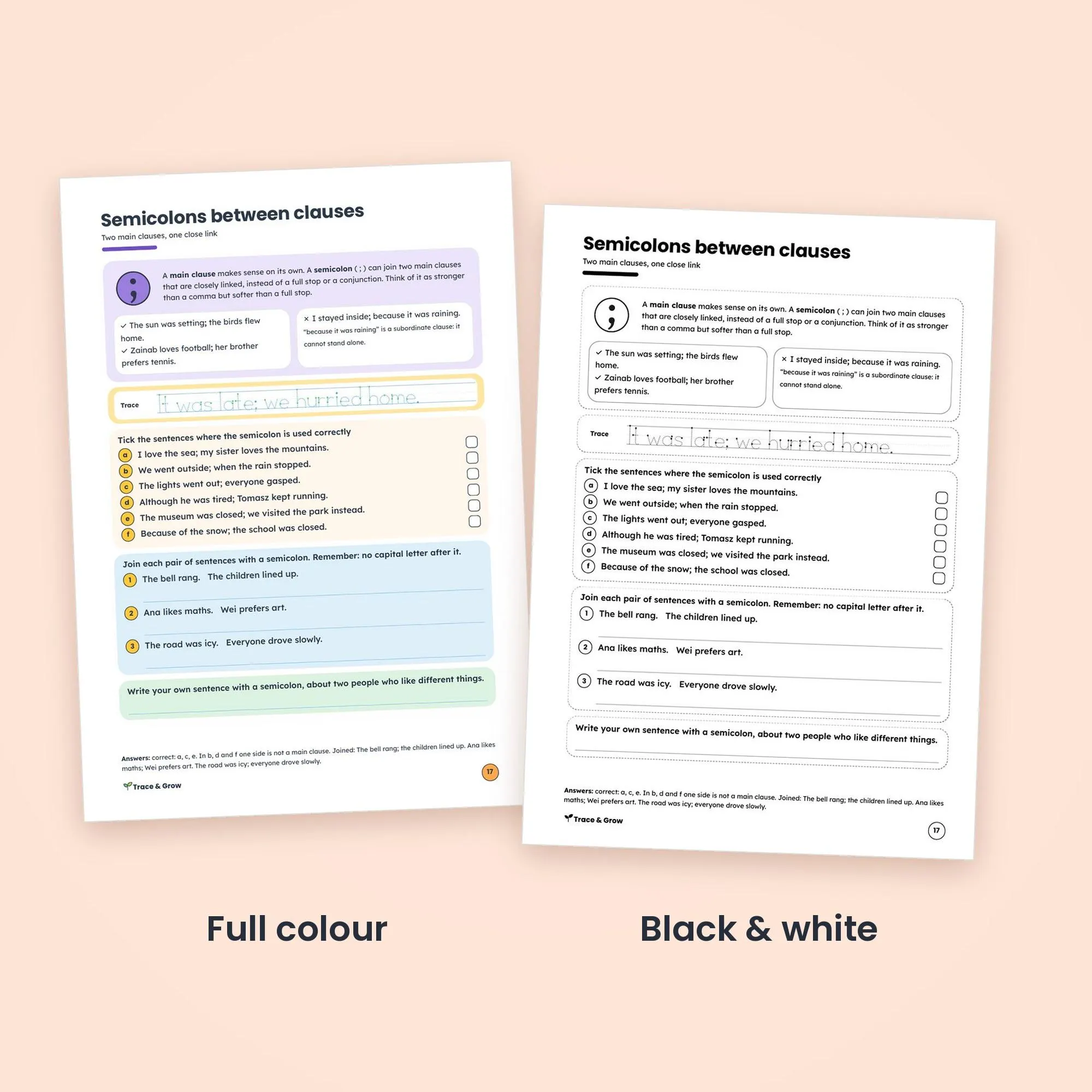 Grammar Worksheets for 5th and 6th Grade: inside pages