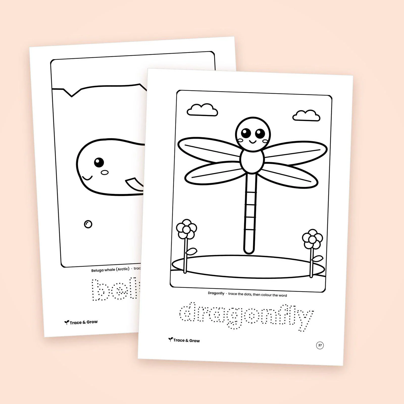 Animal and Nature Coloring Pages Bundle Printable: inside pages