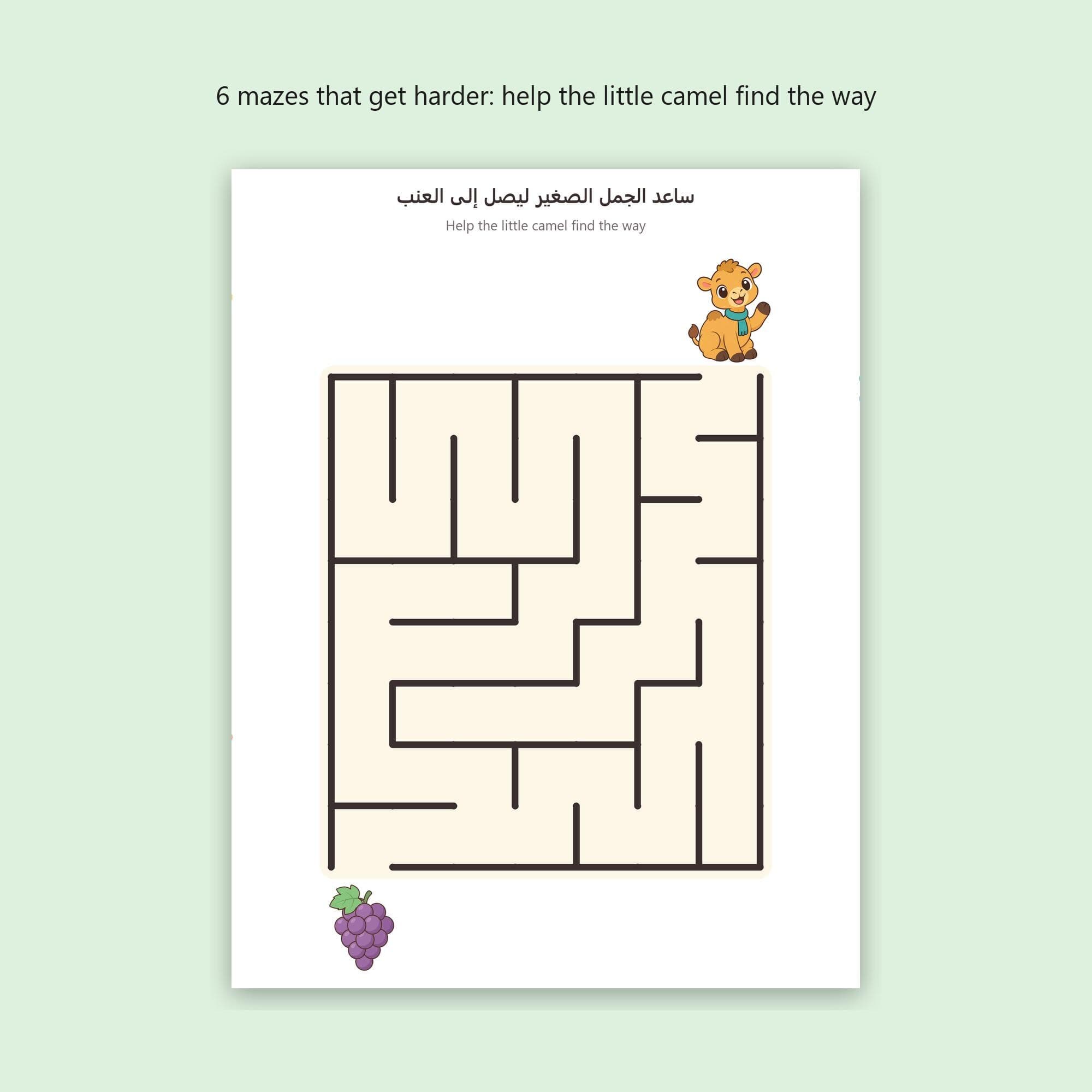 Arabic Letters Activity Book for Kids | First Letter Quiz, Matching, Mazes, Find and Colour | Printable PDF A4 + US Letter | أنشطة الحروف - image 4