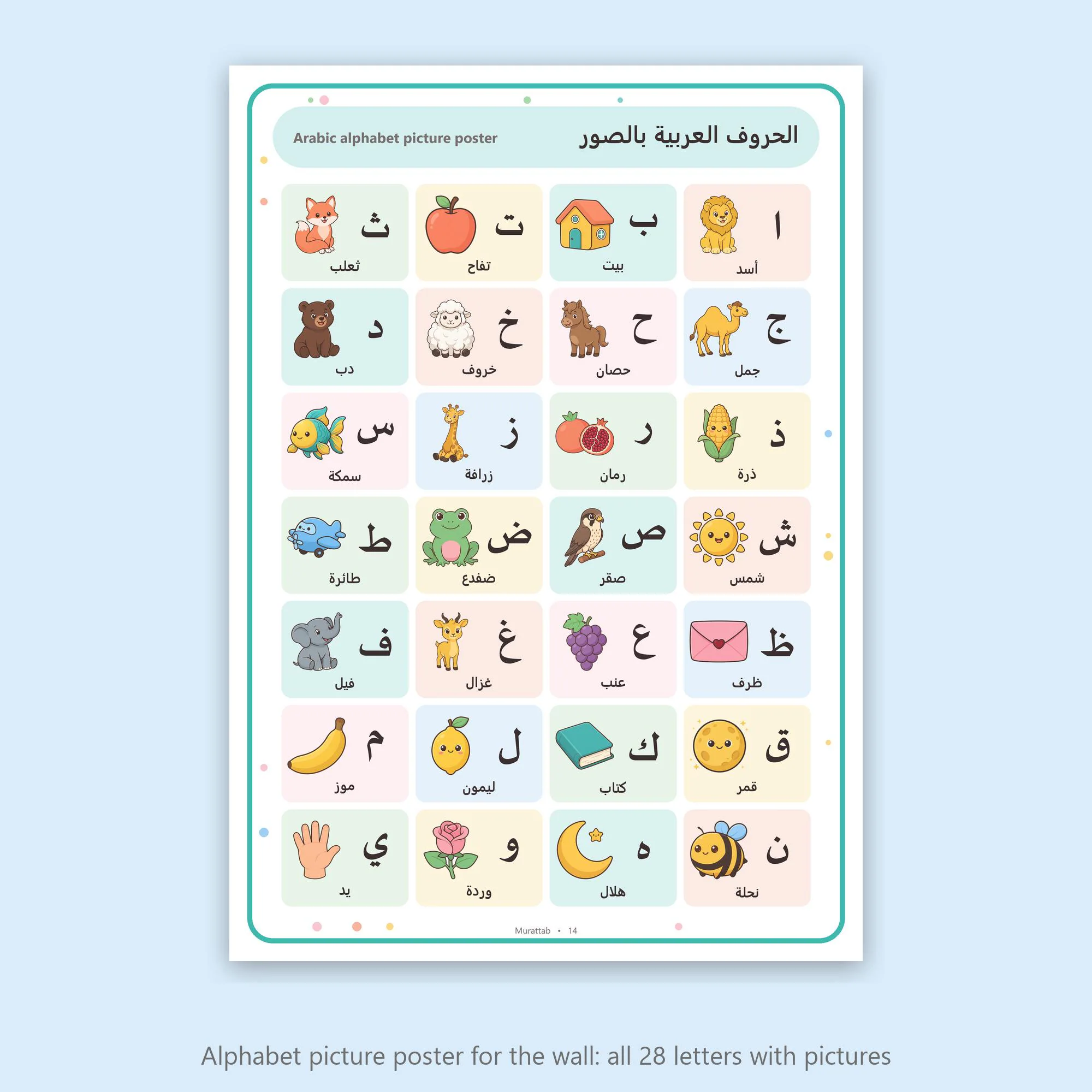 Arabic Alphabet Picture Flashcards for Kids | 28 Colour Cards, Memory Game and Wall Poster | Printable PDF A4 + US Letter | بطاقات الحروف - image 5