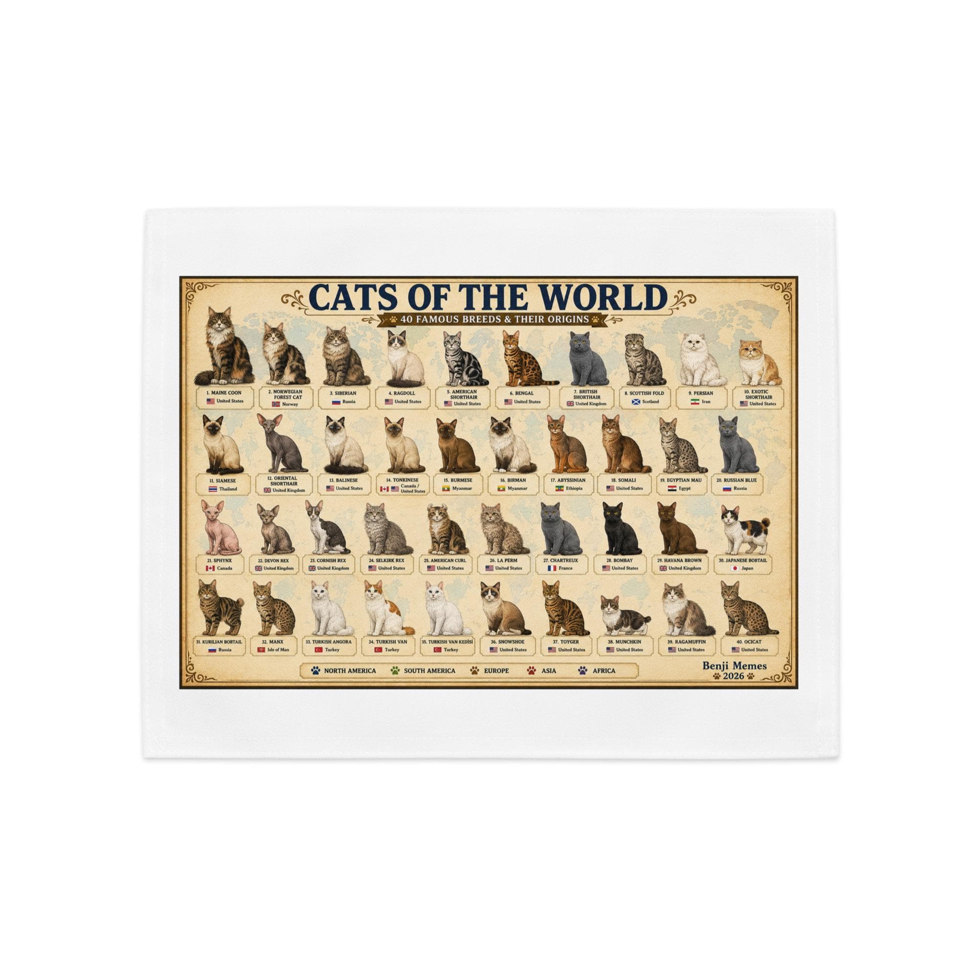 Cats of the World Placemat Set of 4, Cat Breed Educational Table Mats, Cat Lover Dining Decor, Feline Breed Chart Placemats Gift