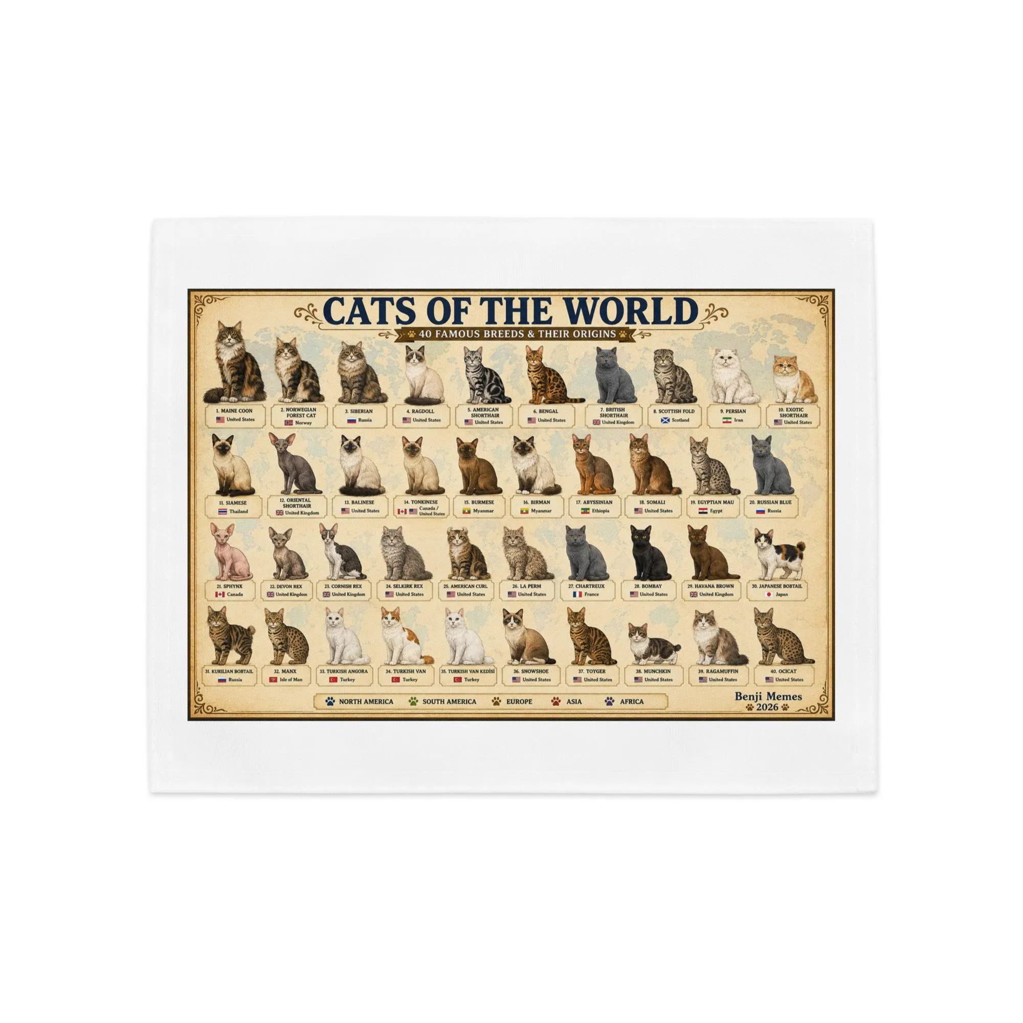 Cats of the World Placemat Set of 4, Cat Breed Educational Table Mats, Cat Lover Dining Decor, Feline Breed Chart Placemats Gift