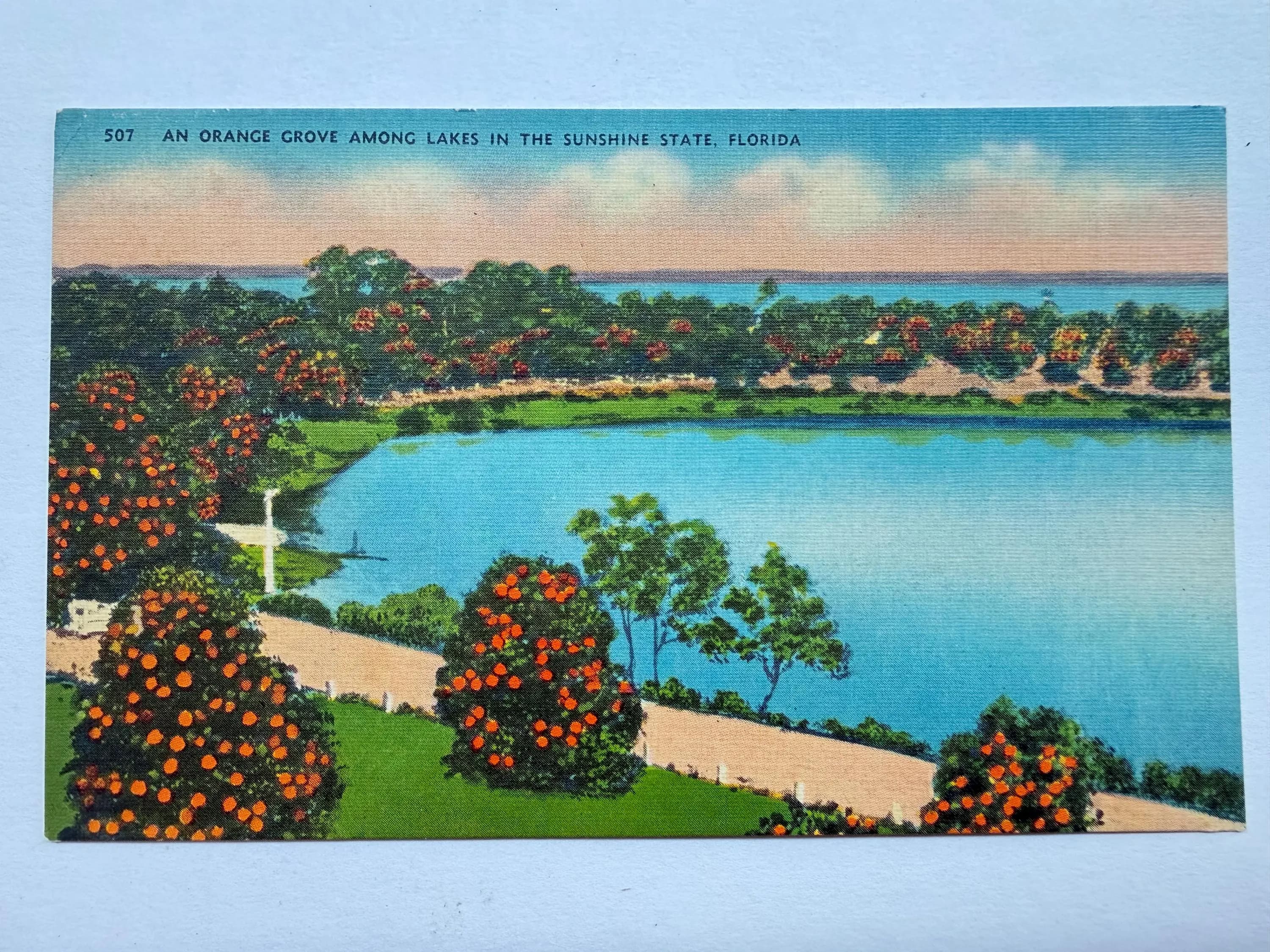 An Orange Grove Among Lakes in the Sunshine State, Florida, Vintage Linen Postcard