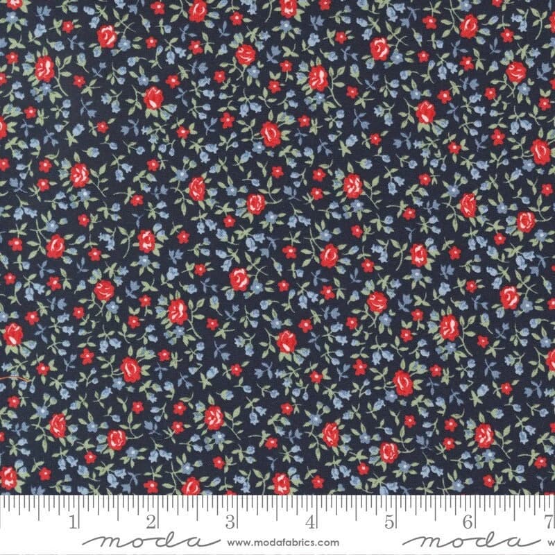 Dwell by Camille Roskelley for Moda Fabrics (M55277-12)