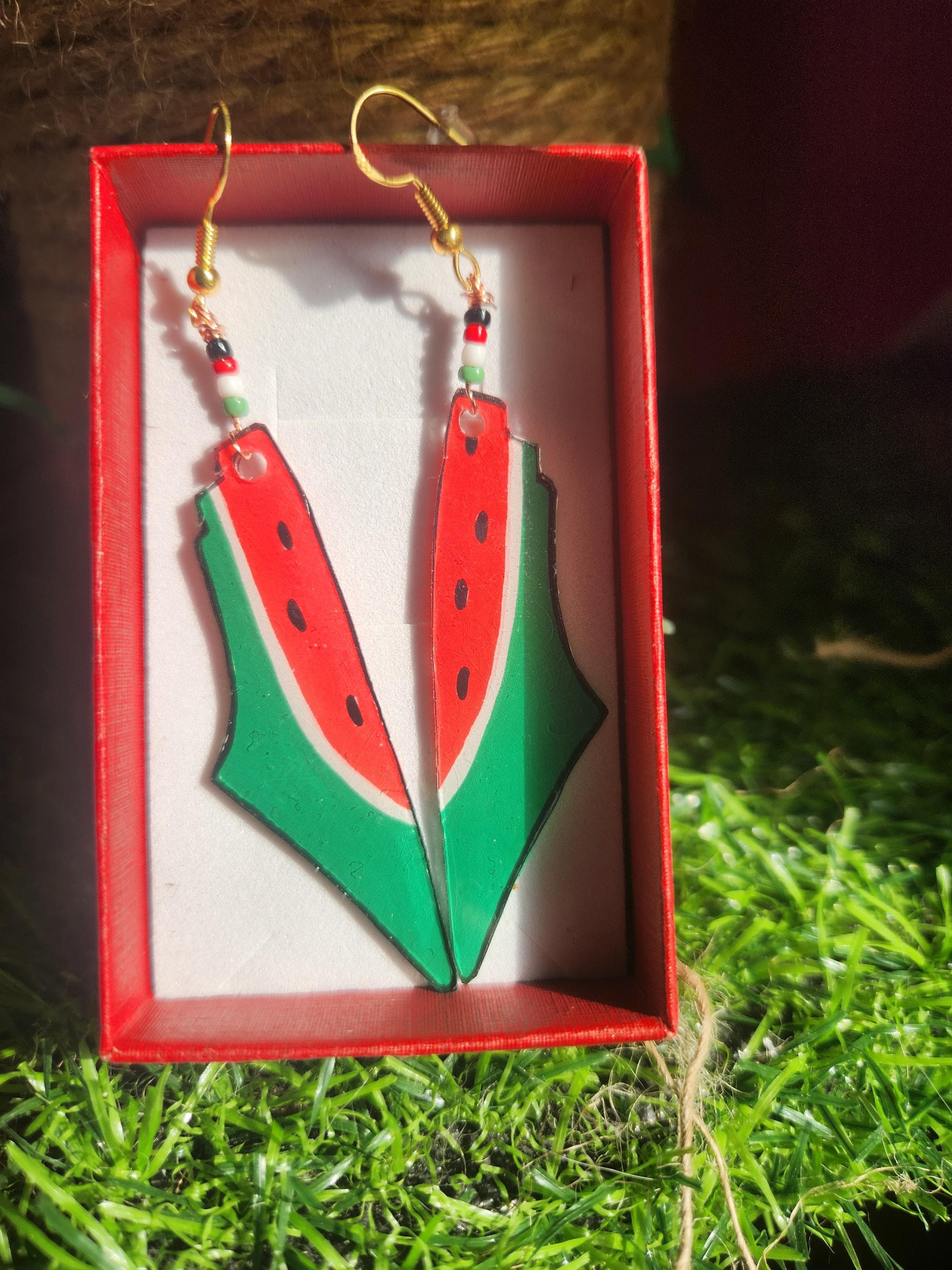 Palestine watermelon earrings for Gaza