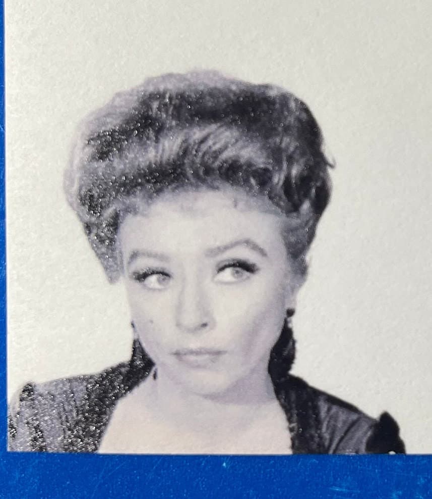 Miss Kitty Post-It Notepad, Gunsmoke TV Western, "Hello Cowboy," Miss Kitty,  Amanda Blake, - image 3