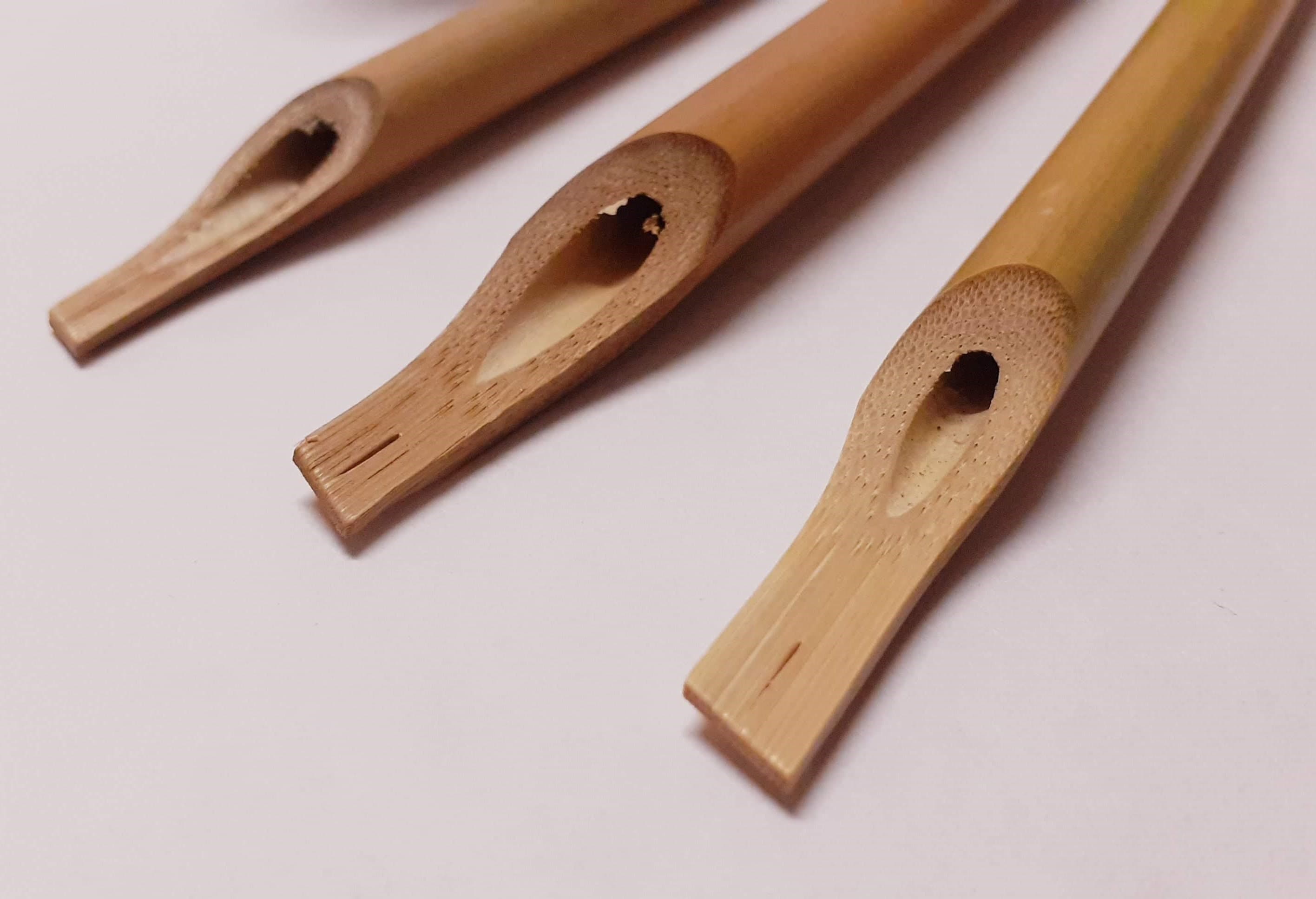 X3 Bamboo Reed Pens and Black Ink For Calligraphy Writing - image 3