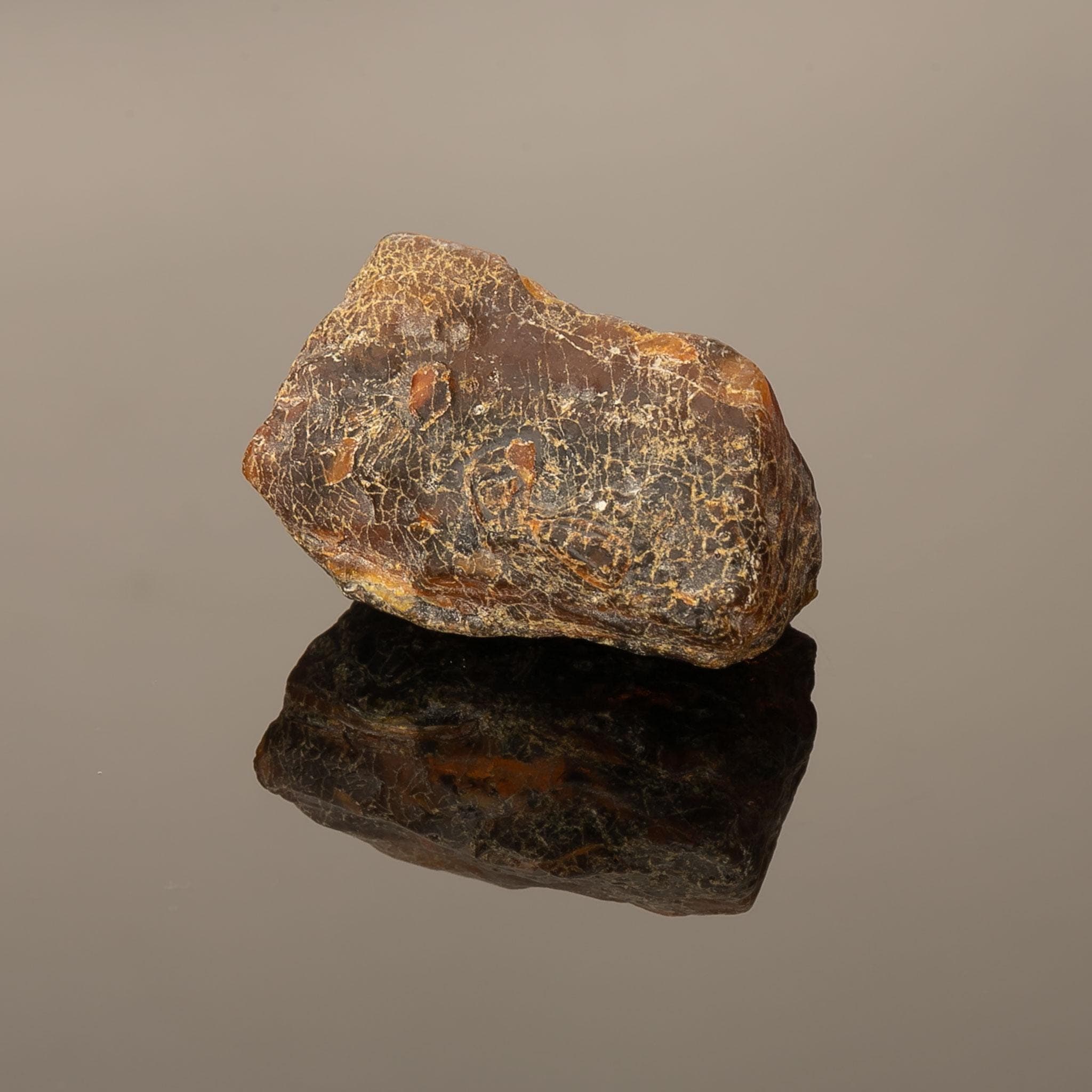 19g Baltic Amber Raw Stone – Natural Dark Amber Nugget – Collector Specimen - image 5