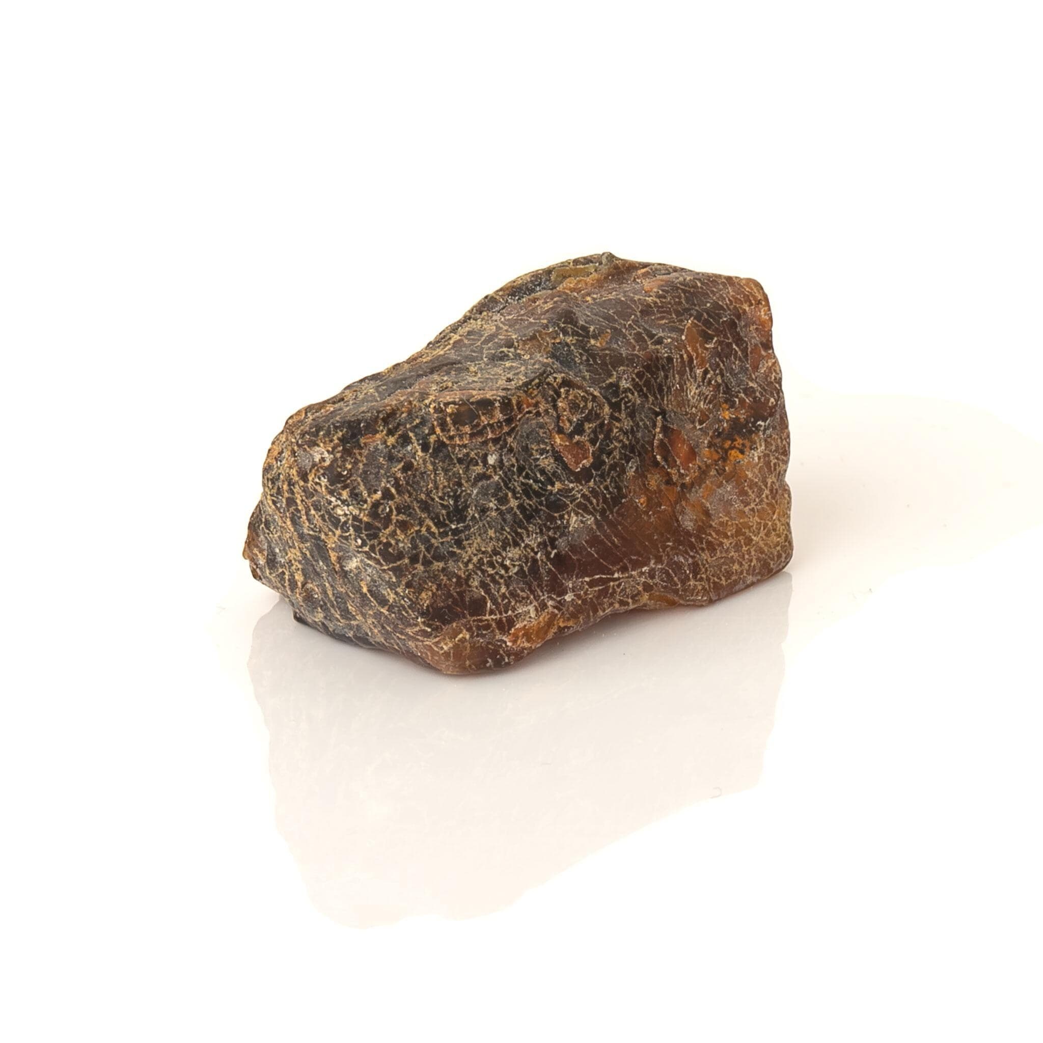 19g Baltic Amber Raw Stone – Natural Dark Amber Nugget – Collector Specimen - image 4
