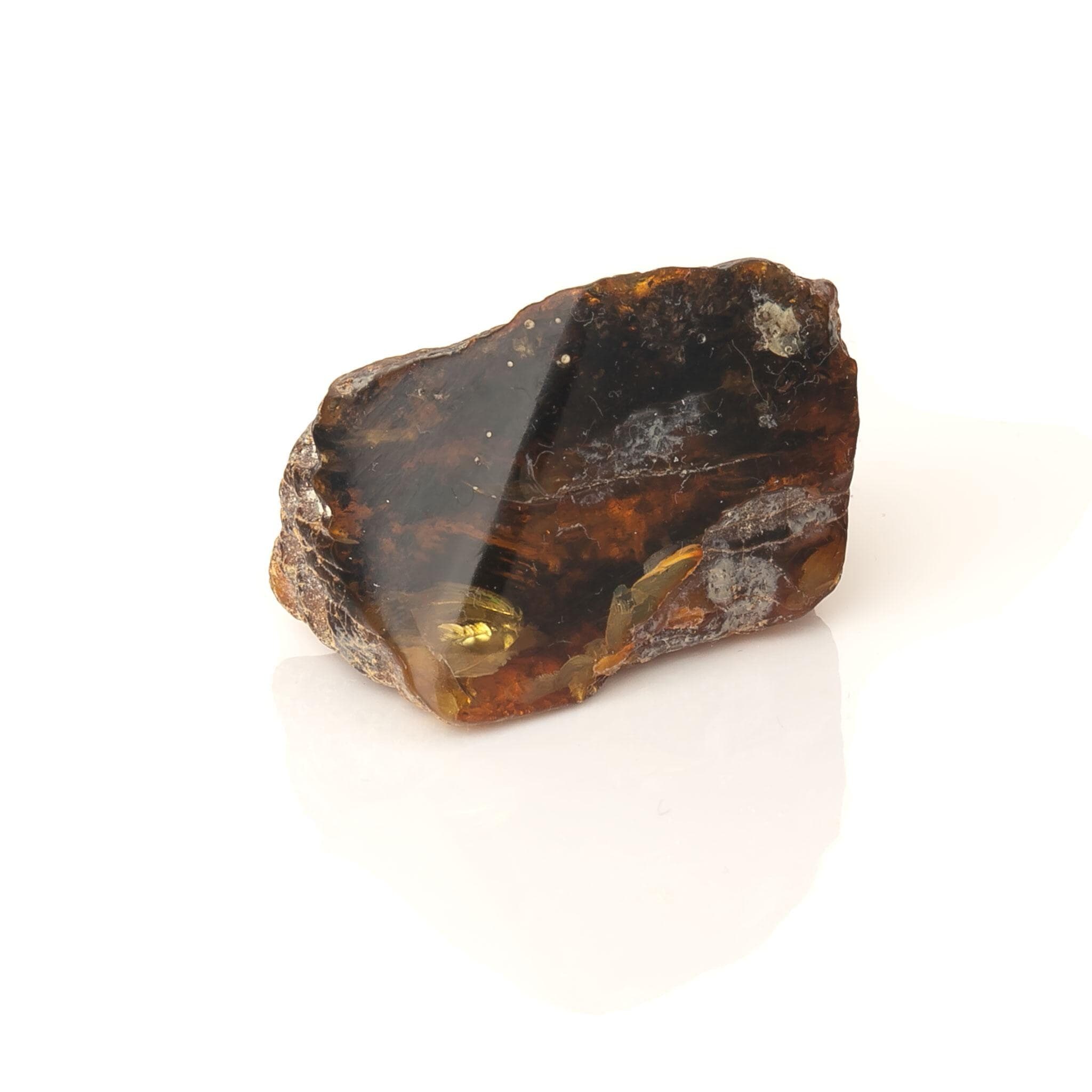 19g Baltic Amber Raw Stone – Natural Dark Amber Nugget – Collector Specimen - image 3