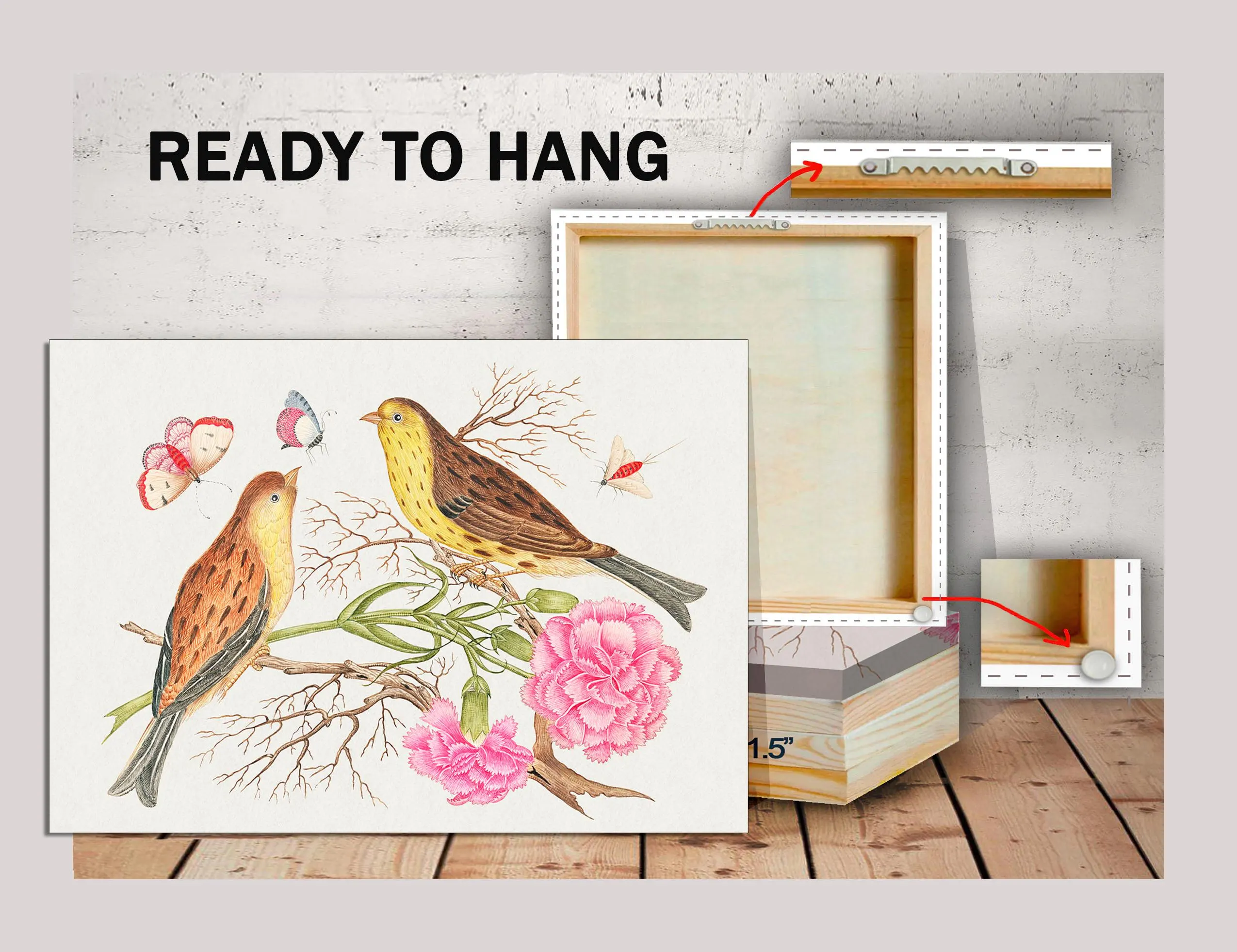 Victorian Bird Canvas Print, 18th Century Botanical Art, Ready to Hang - image 4