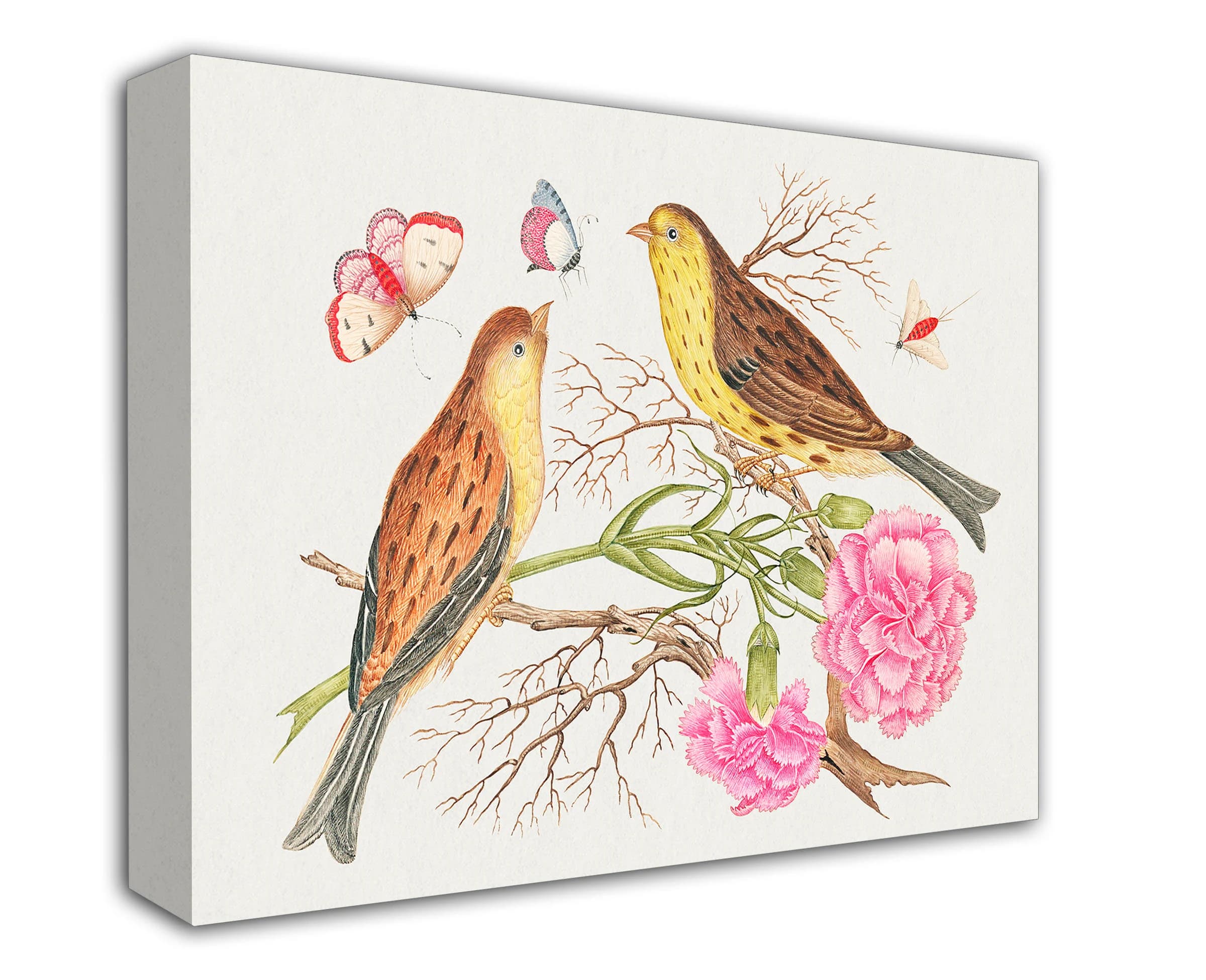 Victorian Bird Canvas Print, 18th Century Botanical Art, Ready to Hang - image 3