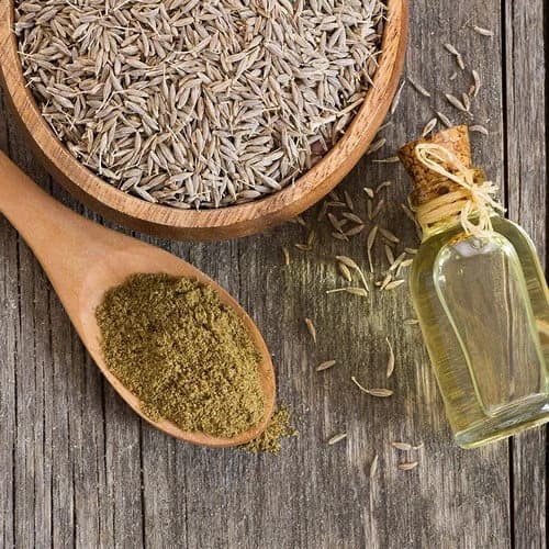 Cumin Herb Seeds (Cuminum Cyminum) 50+Seeds - image 2