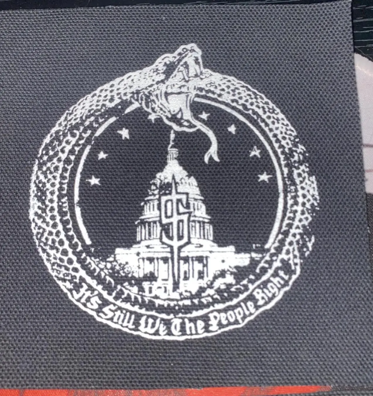 We The People Patch: Punk Snake & Capitol Design - 4" Cotton Canvas - image 5