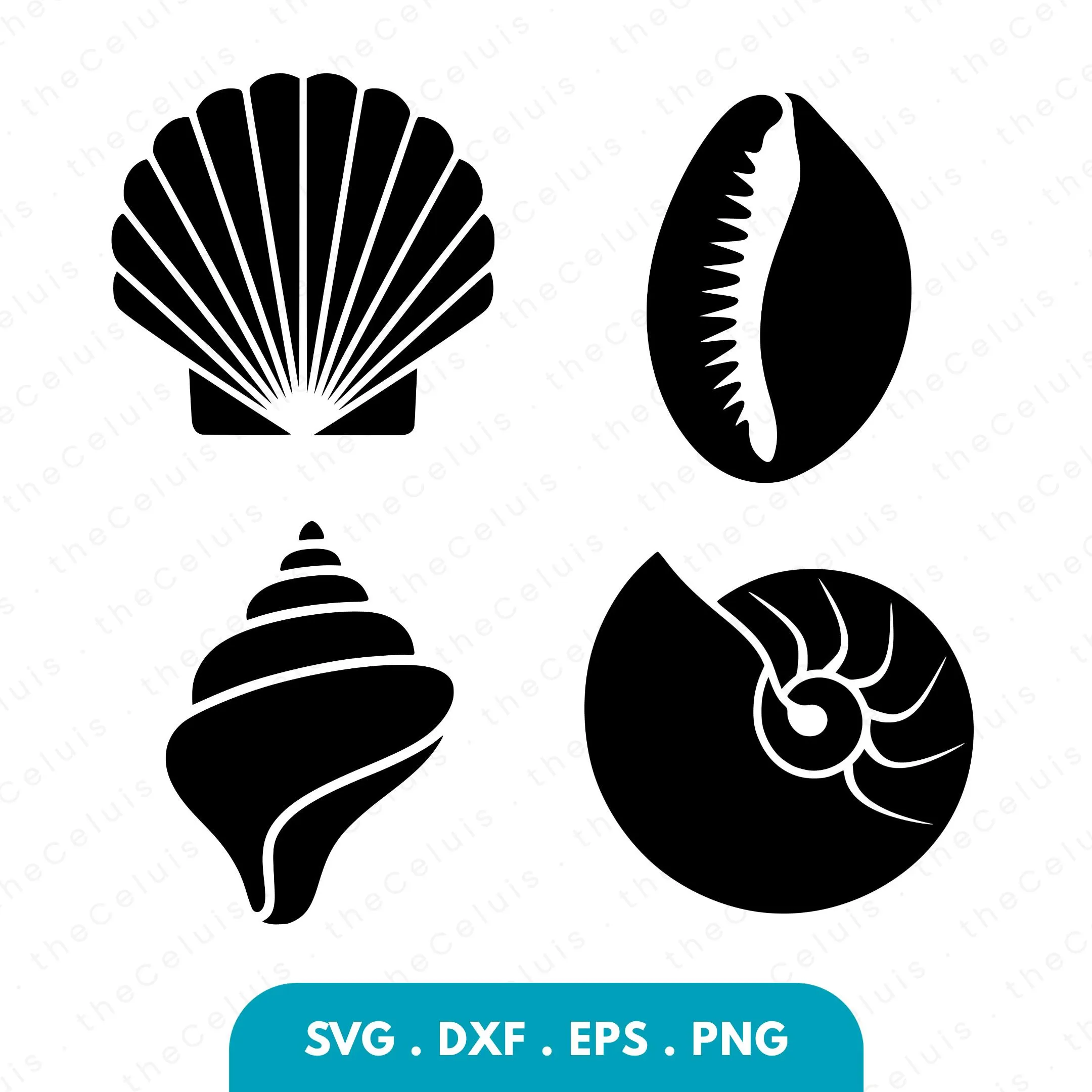 Seashell SVG DXF PNG File for Cricut Silhouette - Cutting, Engraving: Marine Life Clipart