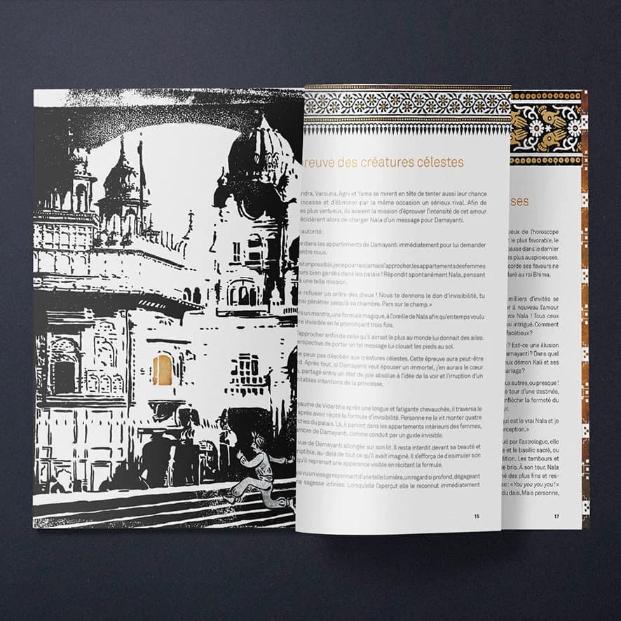 Hamsa, Illustrated digital book in French for children and adults, PDF, Mahabharata, Nala, Damayanti, Indian mythology, Hindouisme, India - image 3