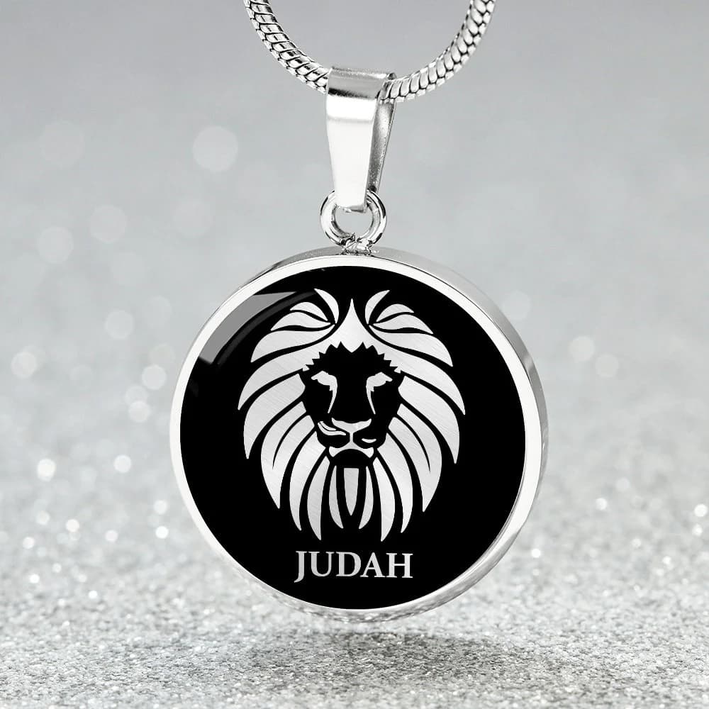 Lion of Judah Necklace Pendant Israelite Jewelry Gold Silver Charm - image 4