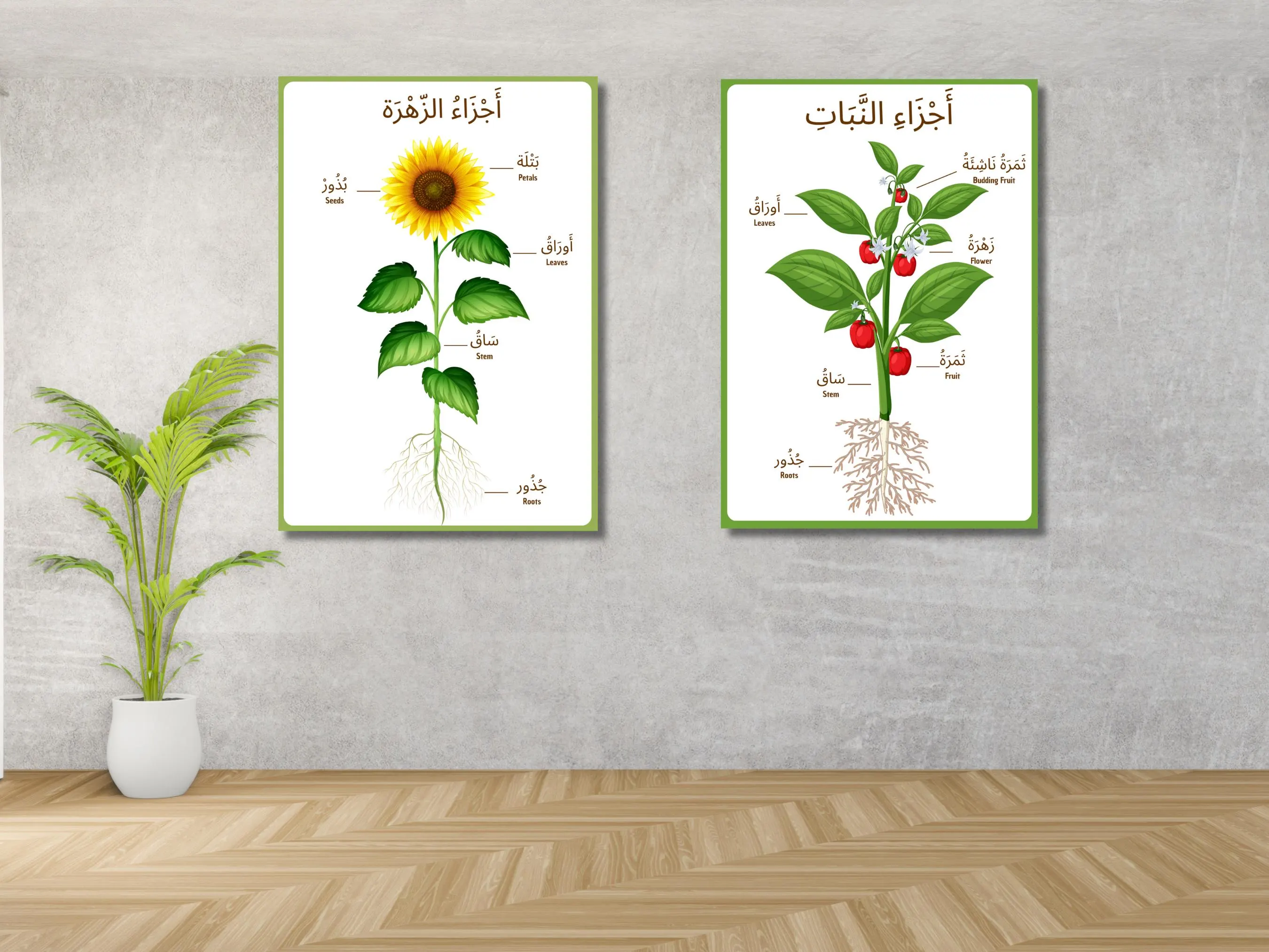 Arabic Educational Poster - Parts of a Flower & Plant | Digital Download