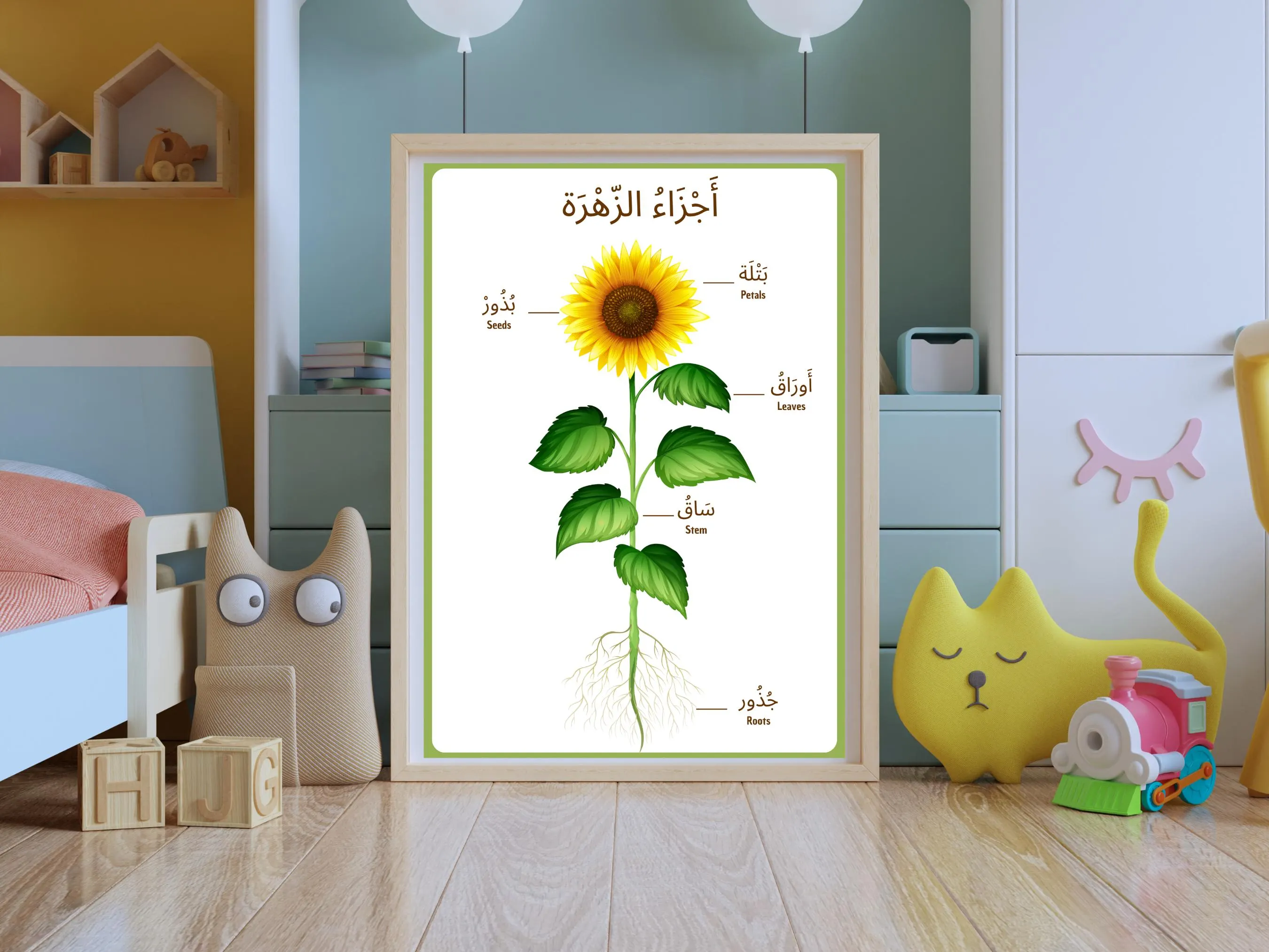 Arabic Educational Poster - Parts of a Flower & Plant | Digital Download - image 5