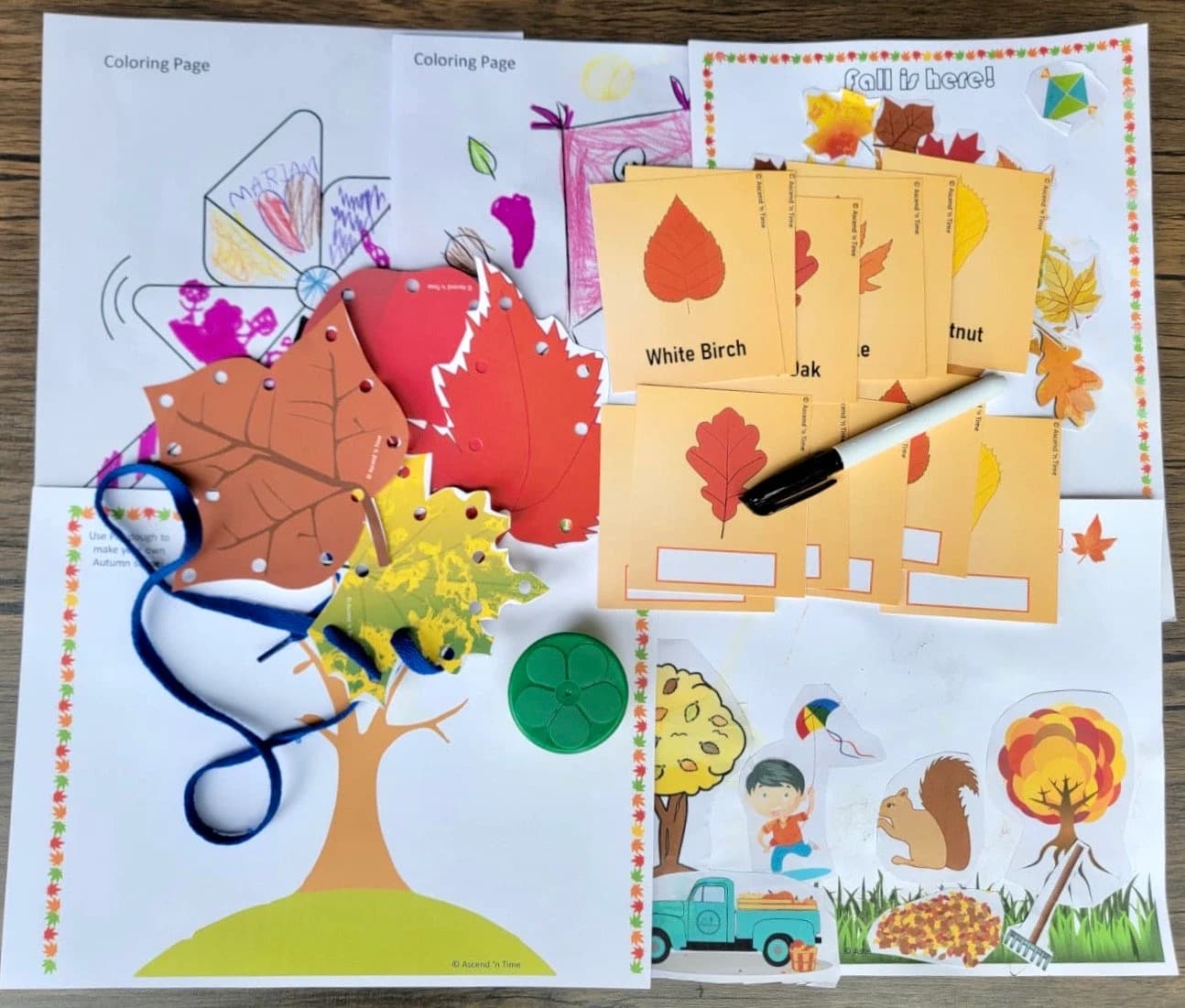 Fall Bundle, Fall lacing, playdough May, Coloring, Leaves, matching, Crafts, homeschool activity, Autumn Crafts