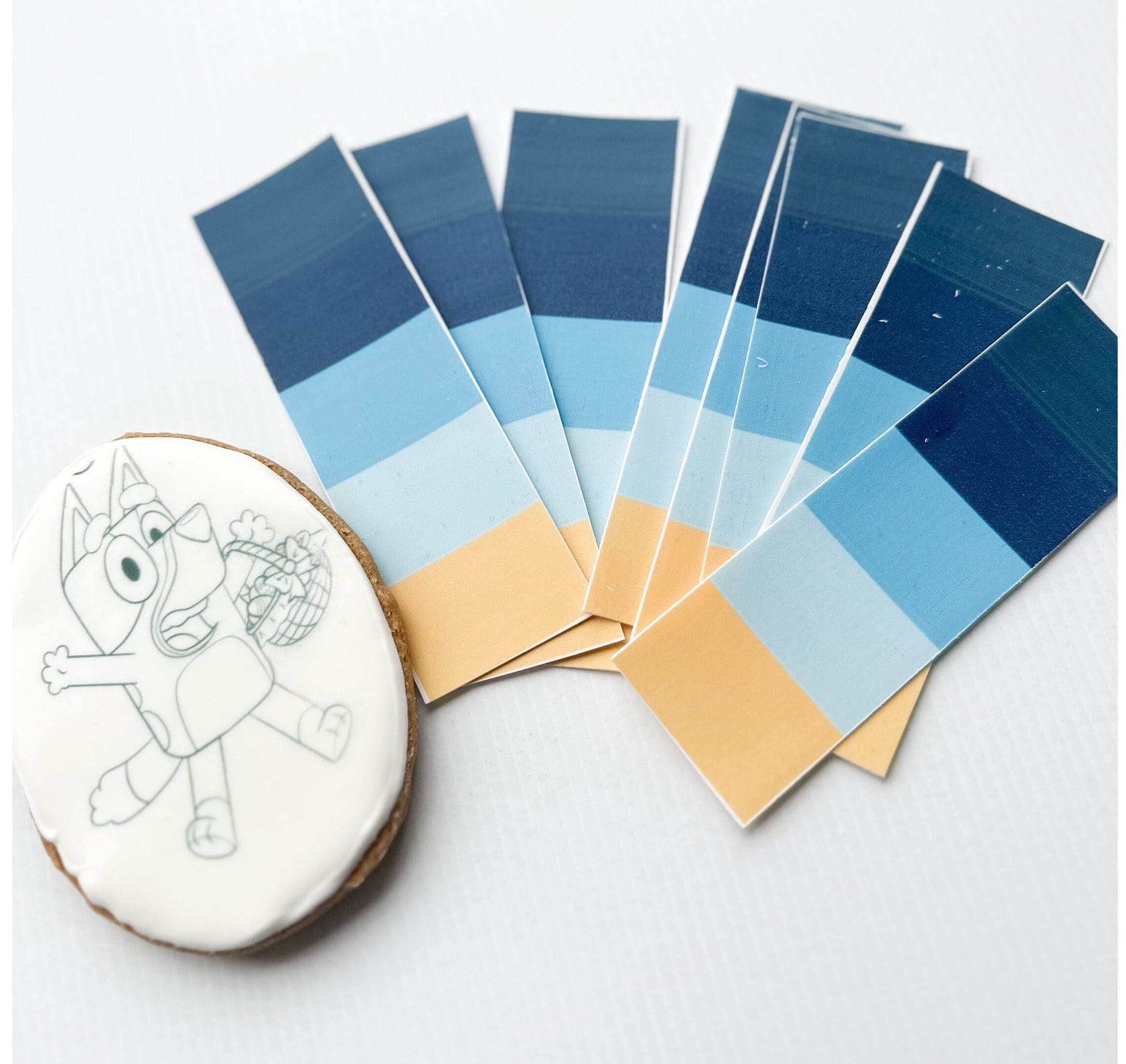 BLUEY Edible Paint Palette: PYO Cookie Kit