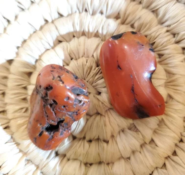 Antique Berber Red Coral Beads: Natural Branch, Morocco (13gr) - image 3