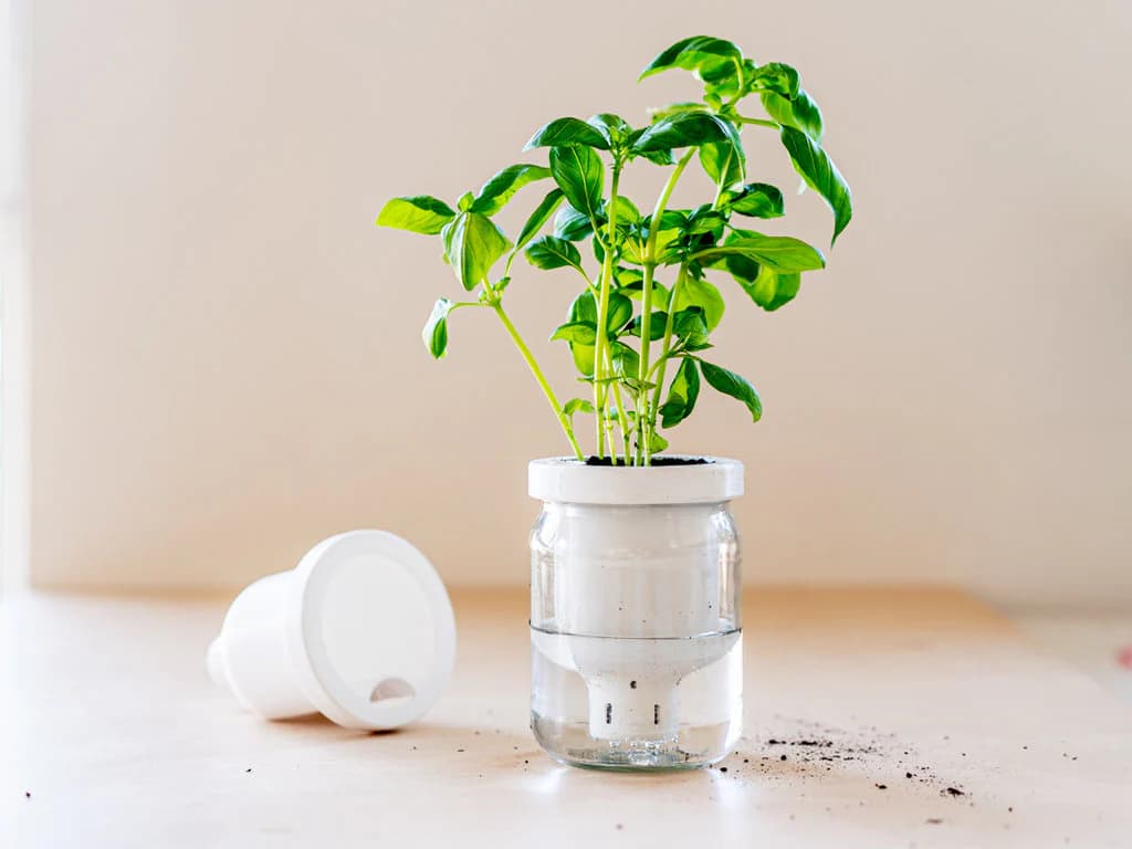 Self Watering Planter, 3D Printed Indoor Plant Pot, Modern Desk Planter, Housewarming, and Gardening Gift for Plant Lovers
