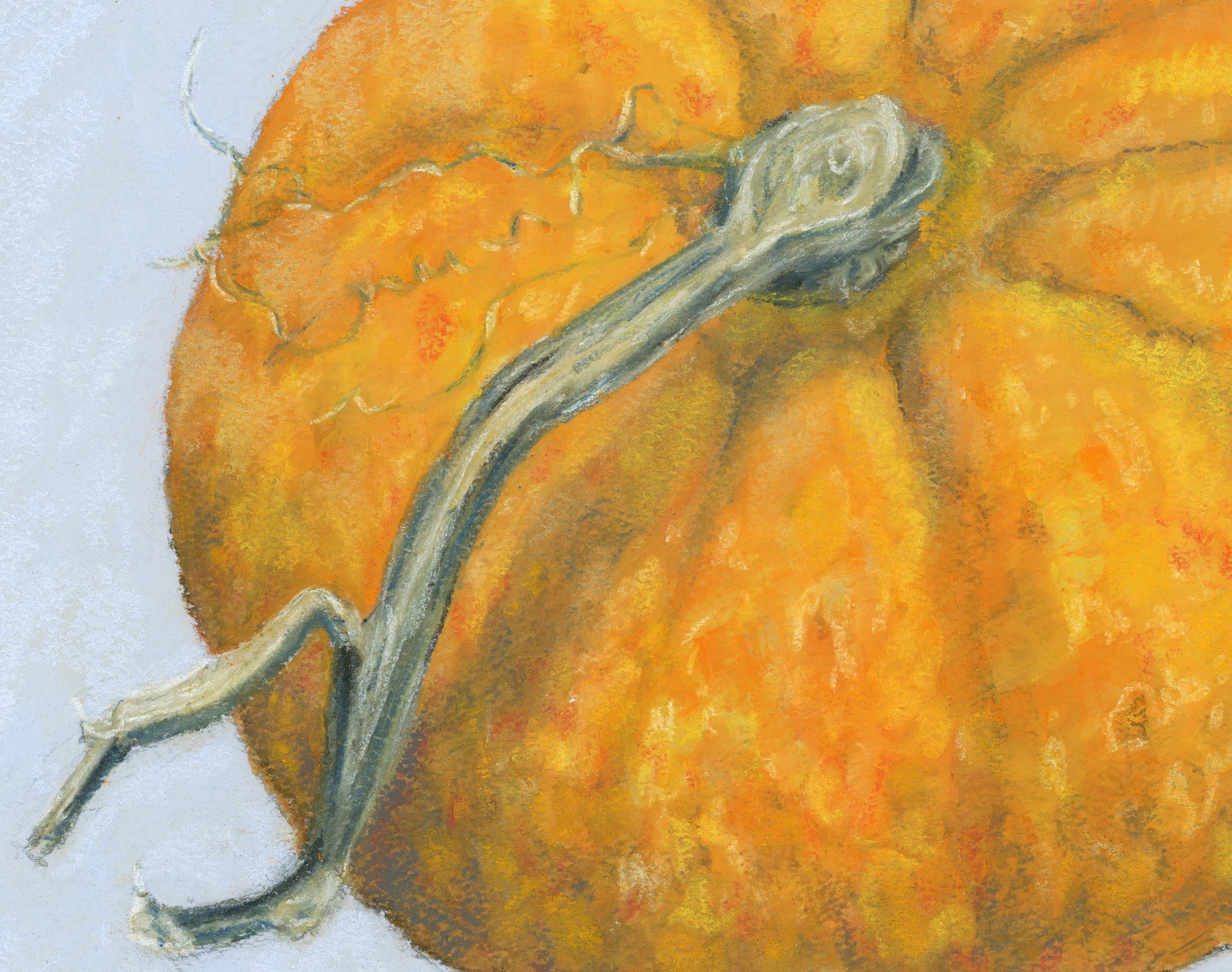 Pastel Pumpkin, Digital Download, Original Pastel Painting - image 3