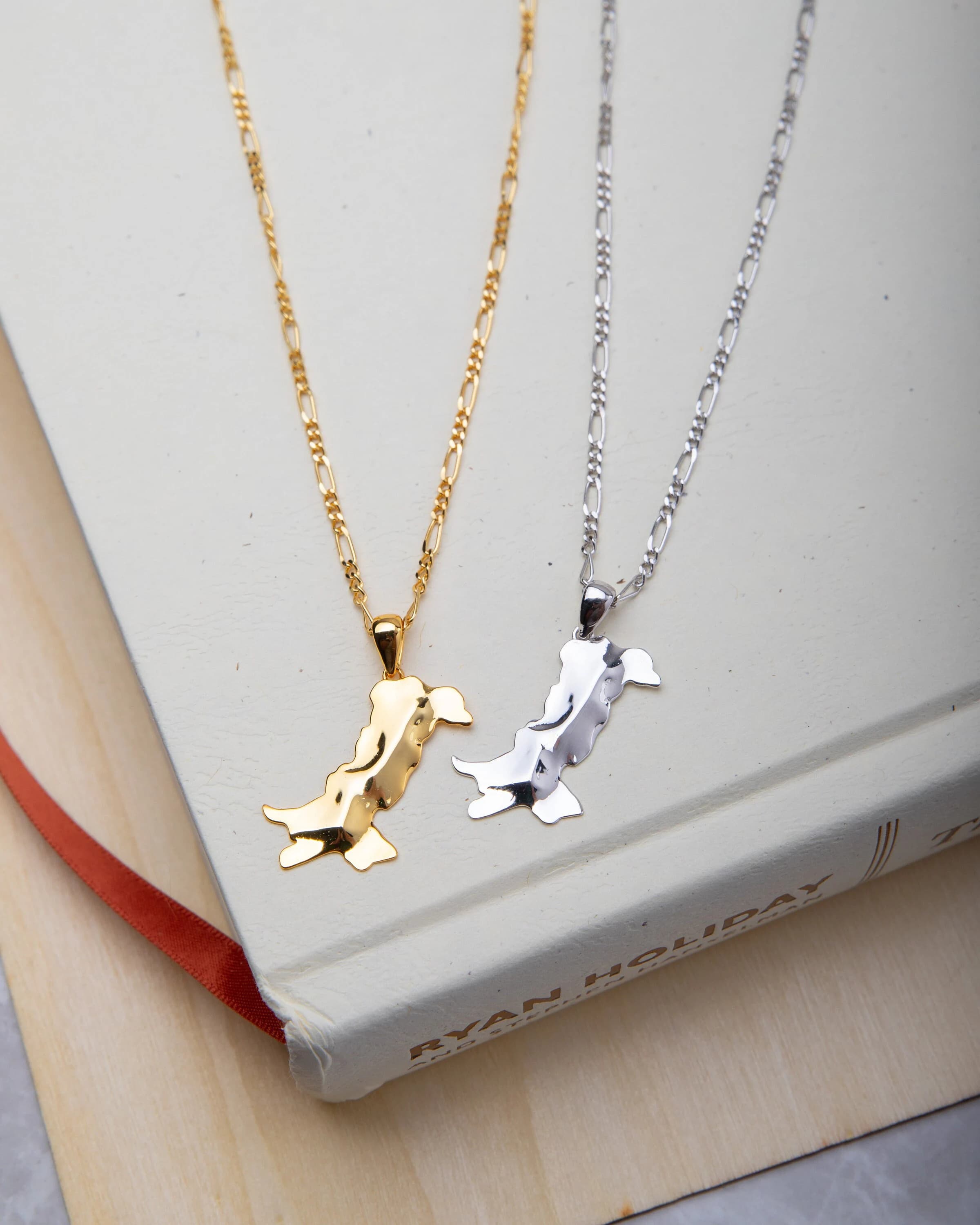 Pakistan Map Necklace 3D (18K GOLD / SILVER) - image 5