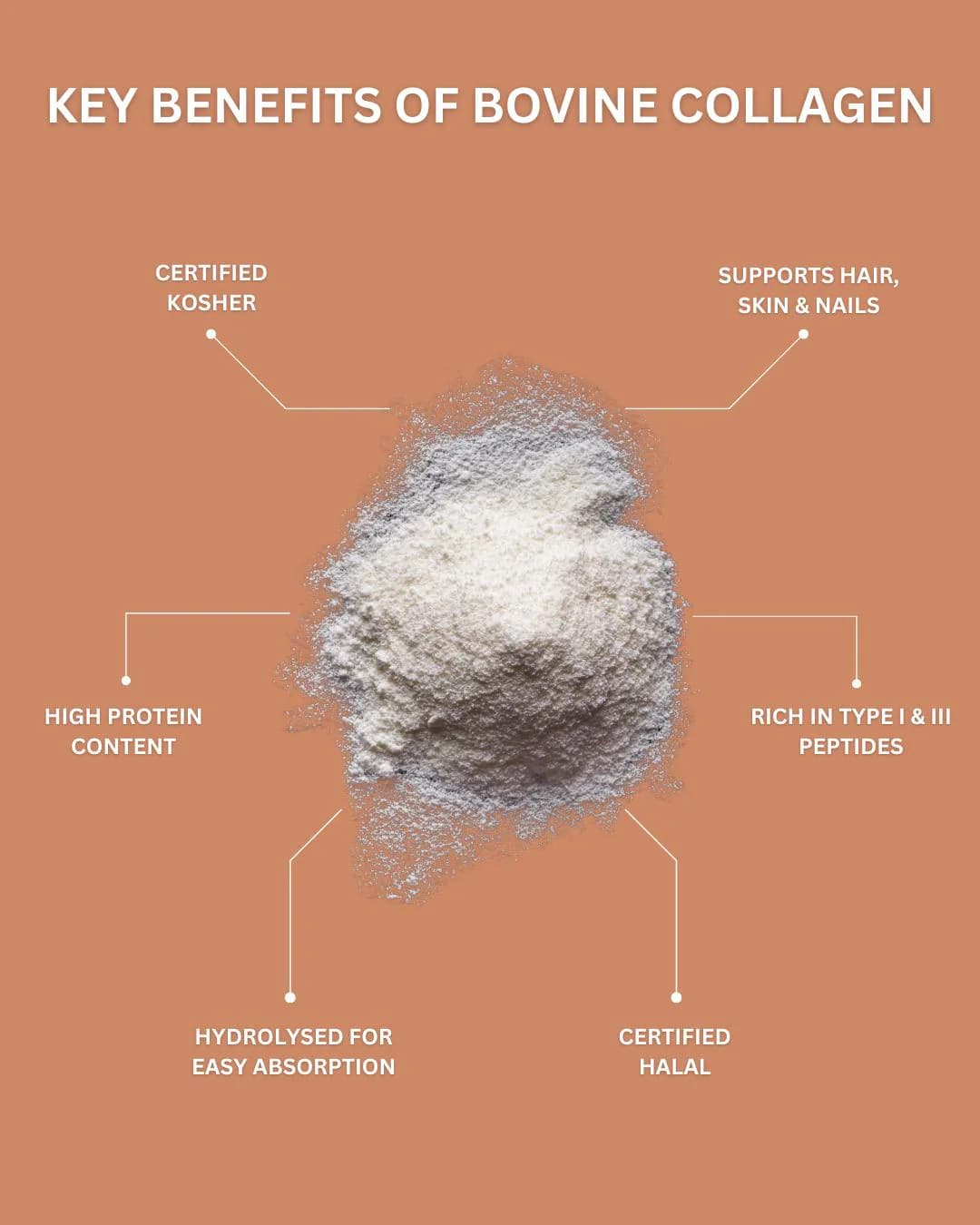 Hydrolysed Bovine Collagen Peptides Powder | Type 1 & 3, Unflavoured (200g-400g) - image 3