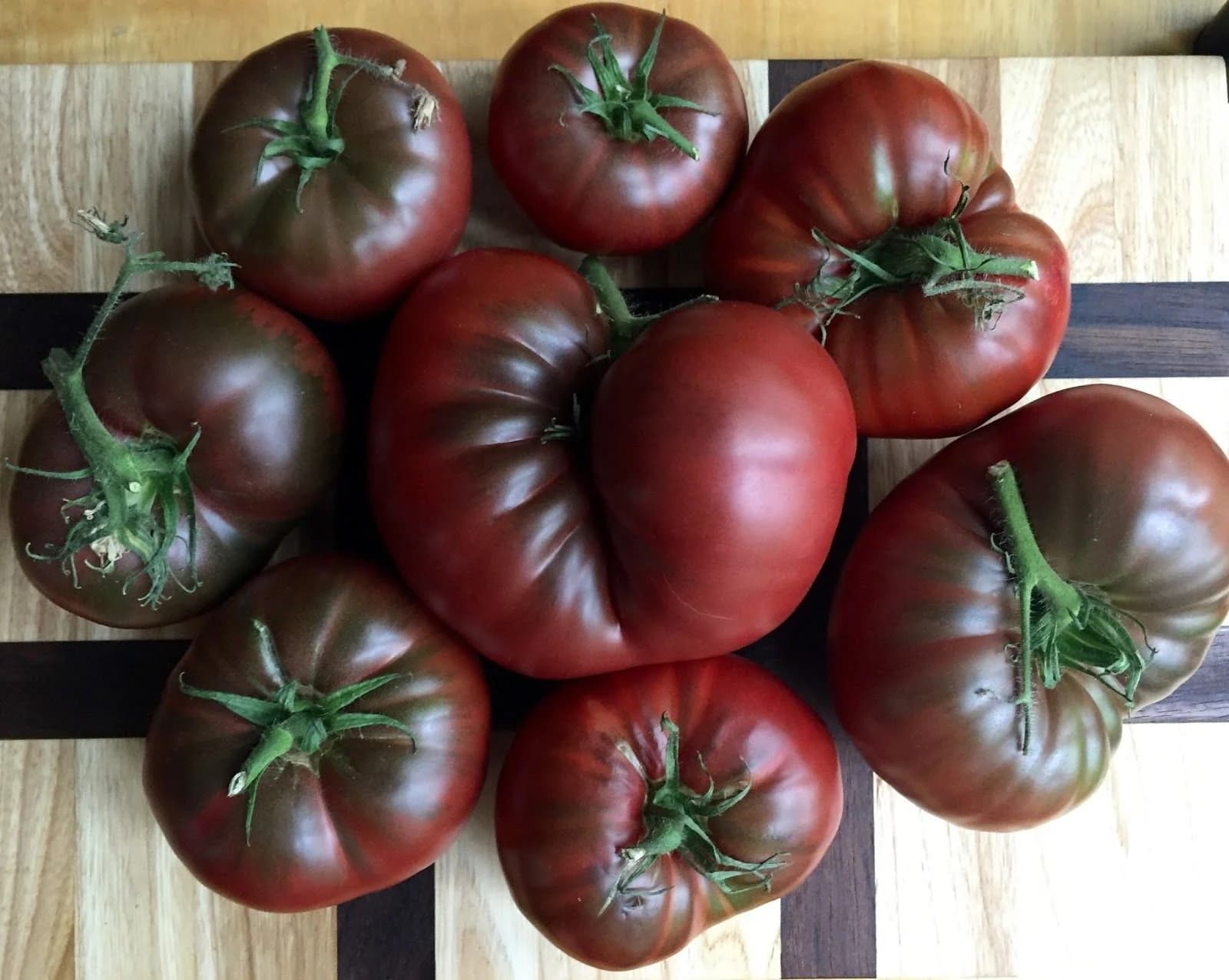 Black Krim Heirloom Tomato Seeds from Florida SHIPPED FAST!