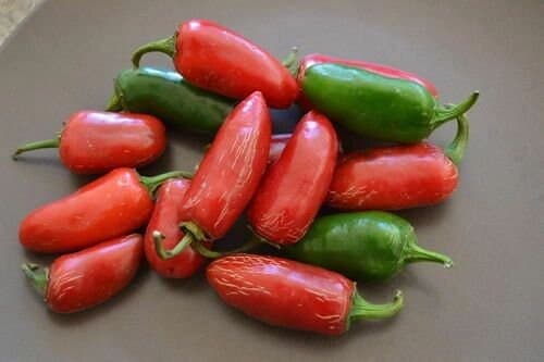 25+ Heirloom Early Jalapeno Pepper Heirloom Seeds Organically Grown - image 2