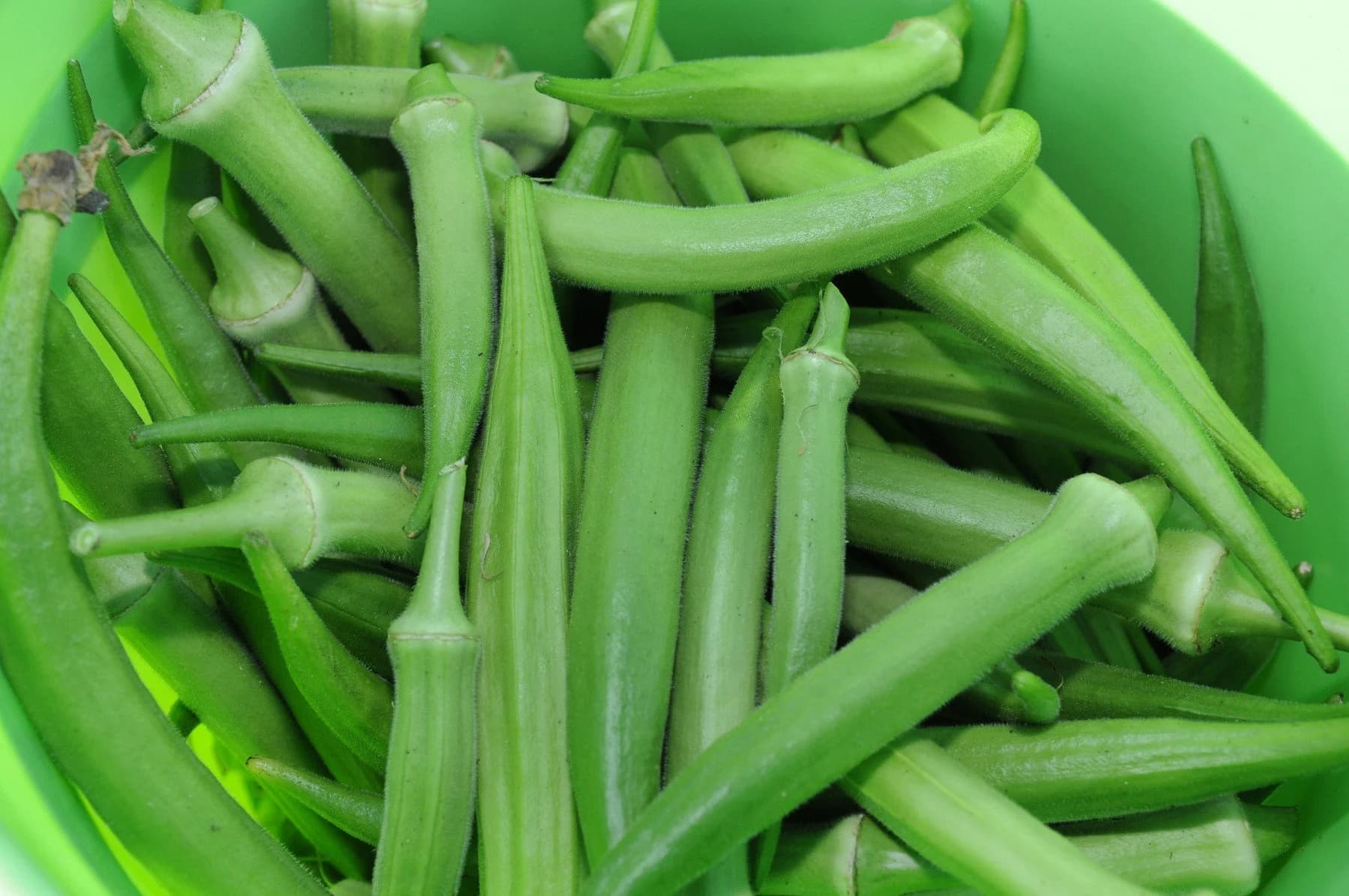 Clemson Spineless Okra Seeds from Florida Shipped Free and FAST - image 3