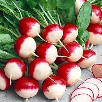 Sparkler White Tip Radish seeds from Garden