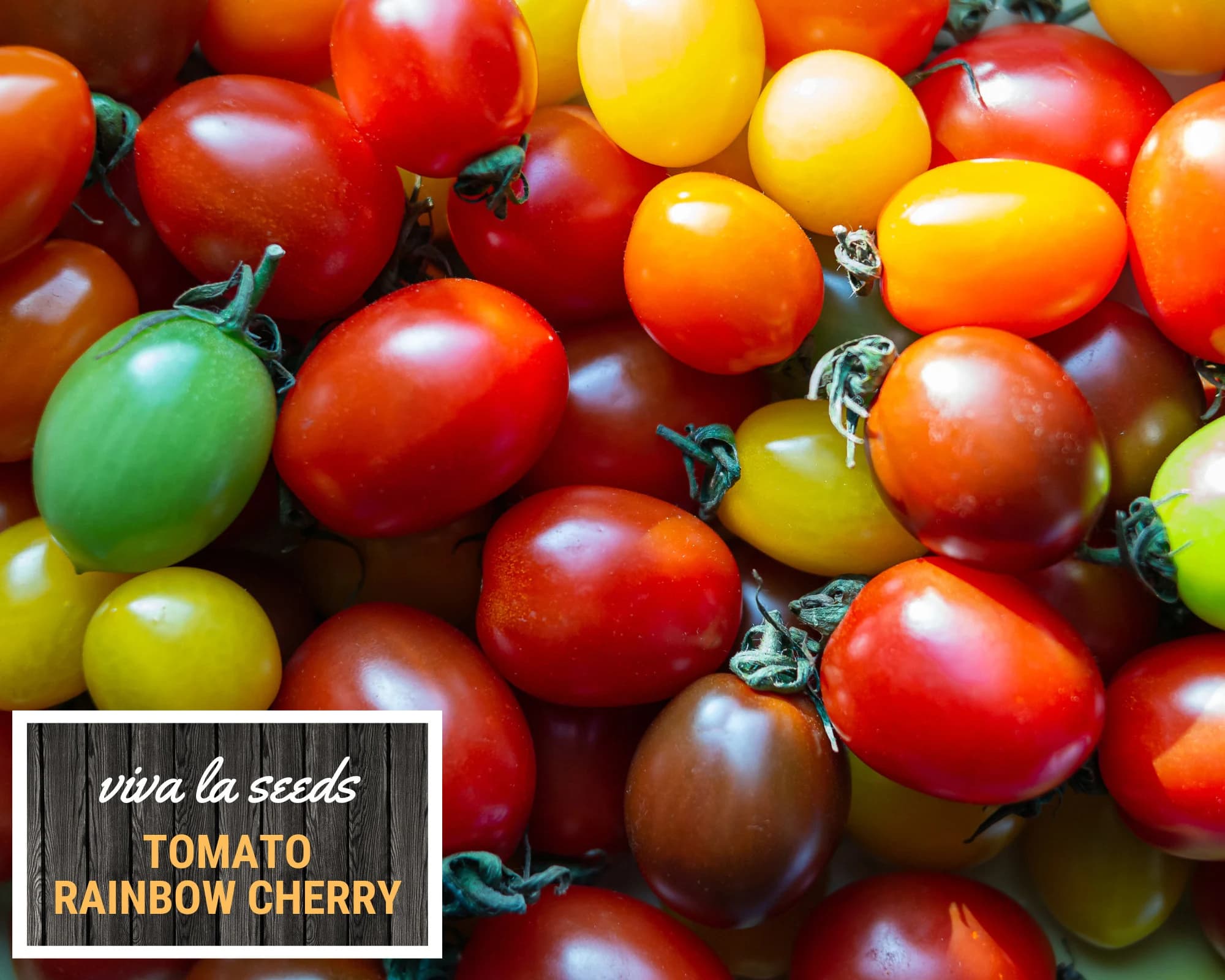 Tomato, Rainbow Cherry | 50 Seeds | Heirloom | Non-GMO | Lycopersicon esculemtum - image 5